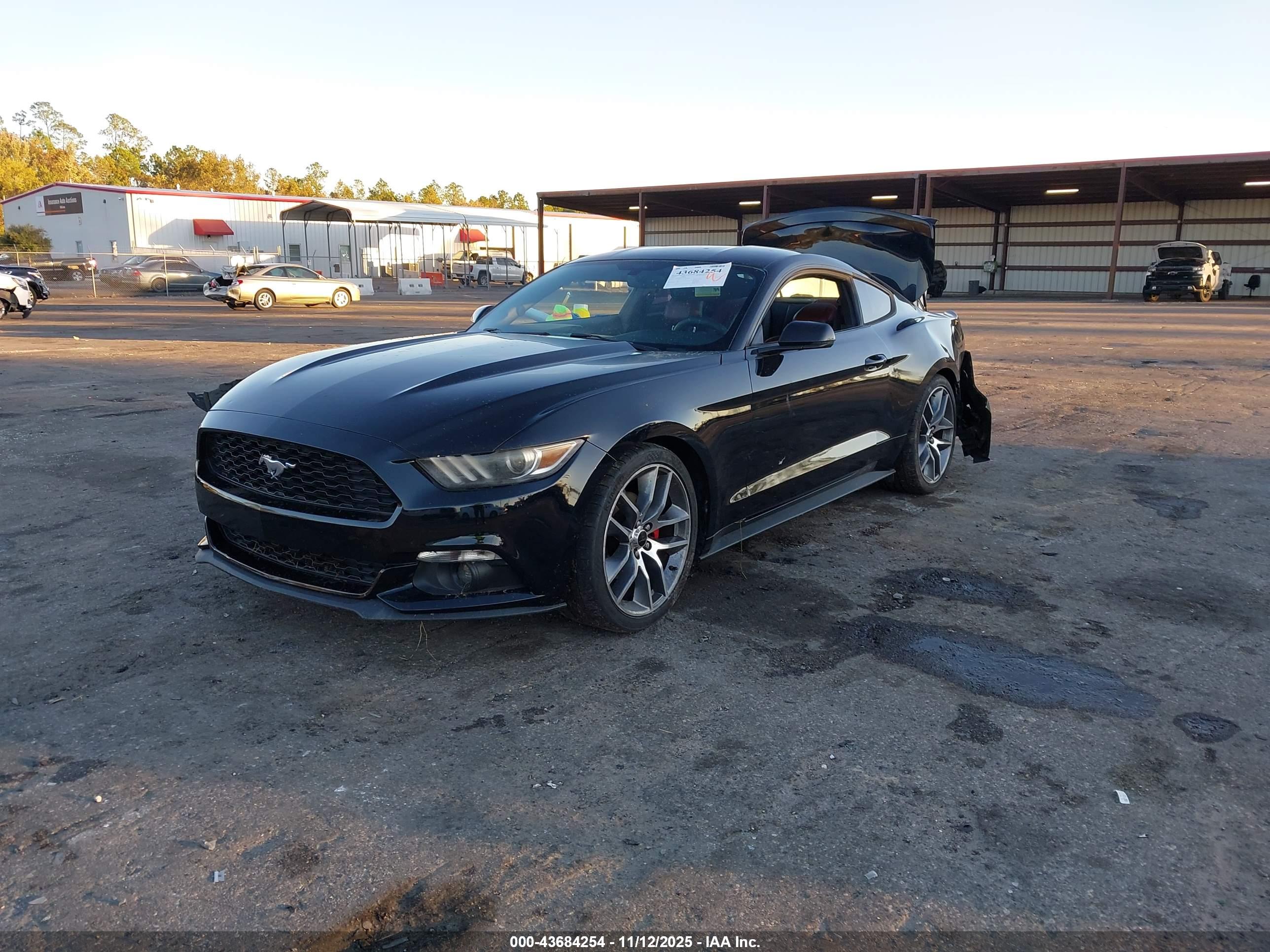 FORD MUSTANG image 2