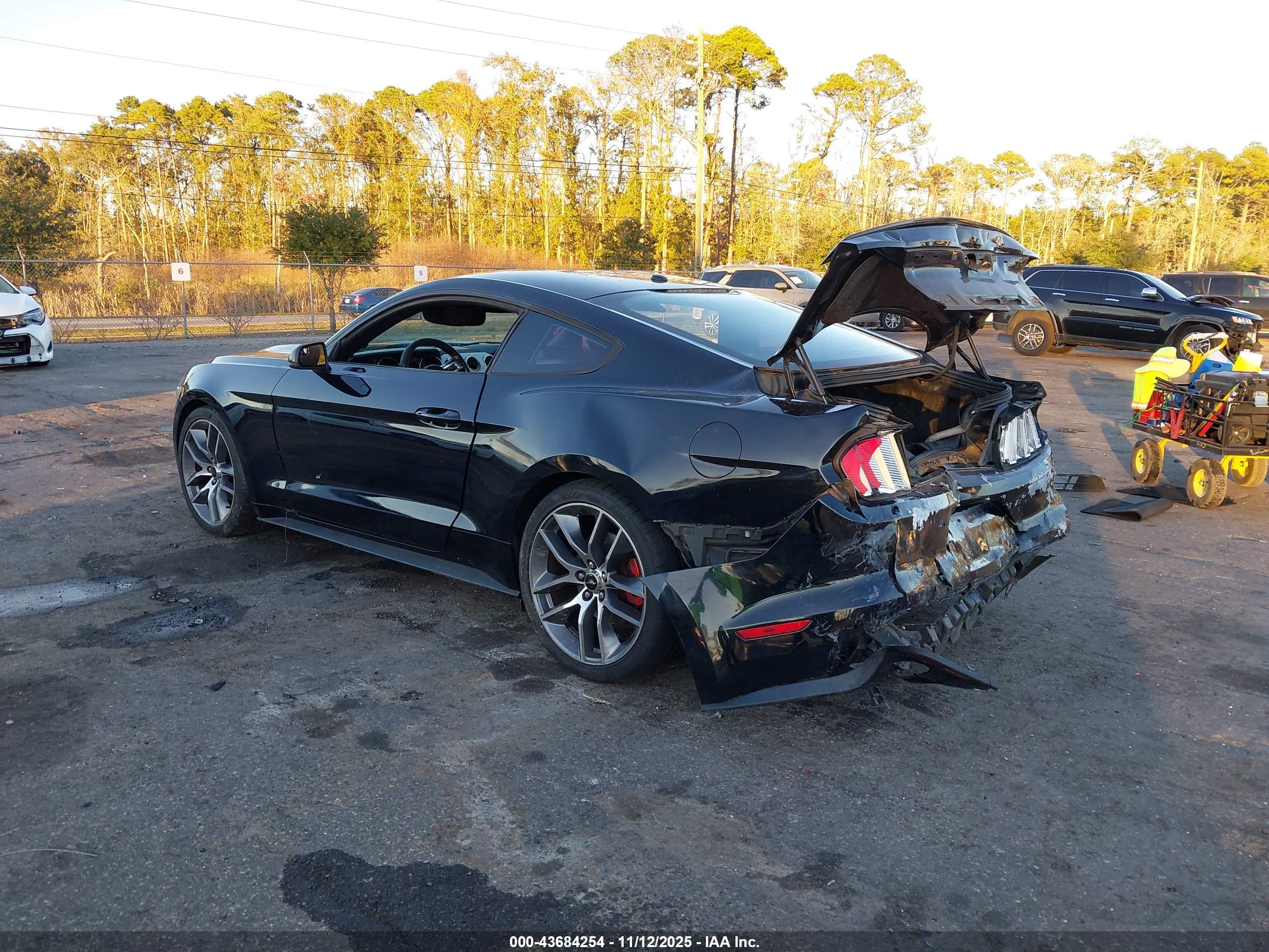 FORD MUSTANG image 3