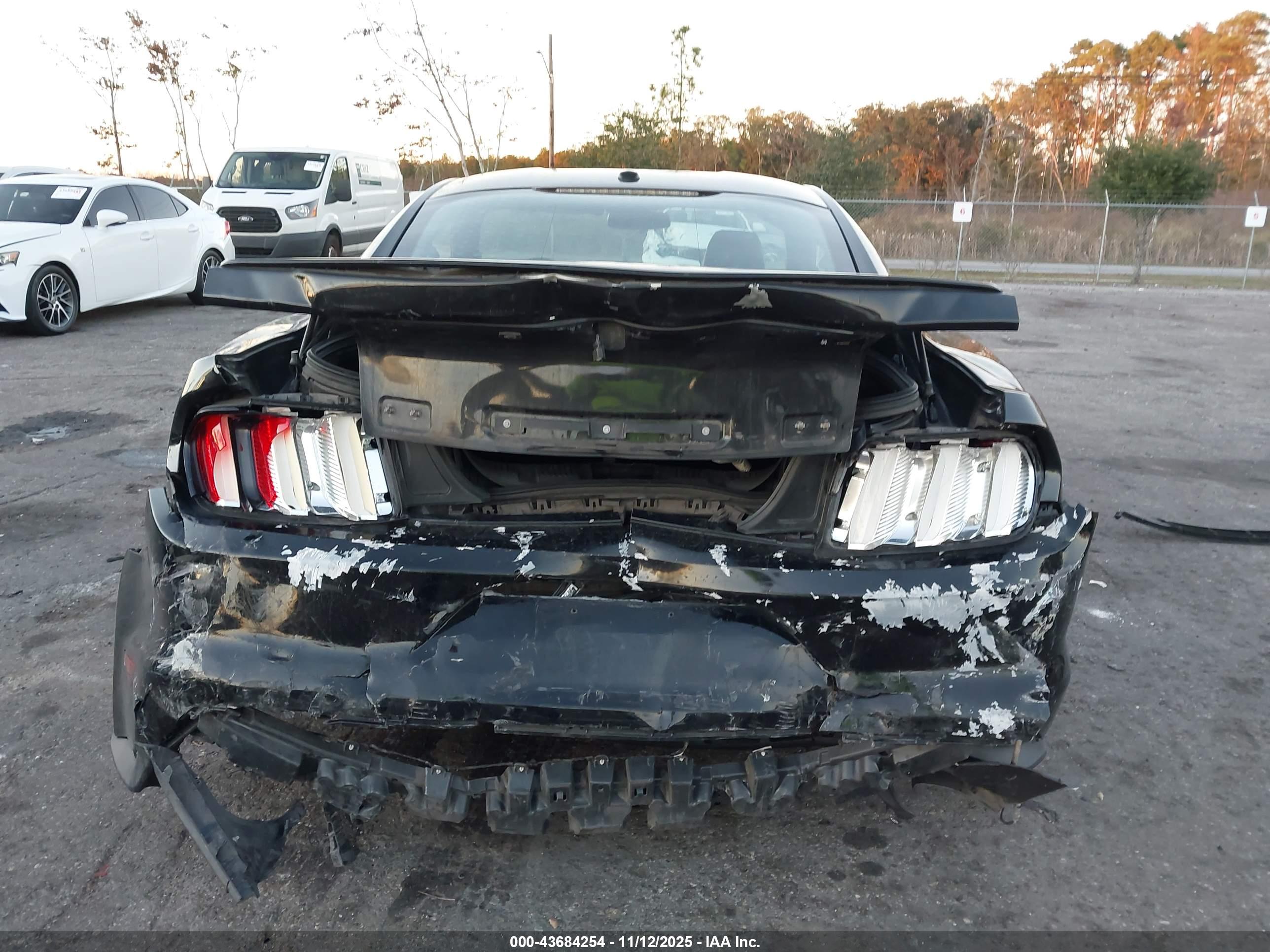 FORD MUSTANG image 6