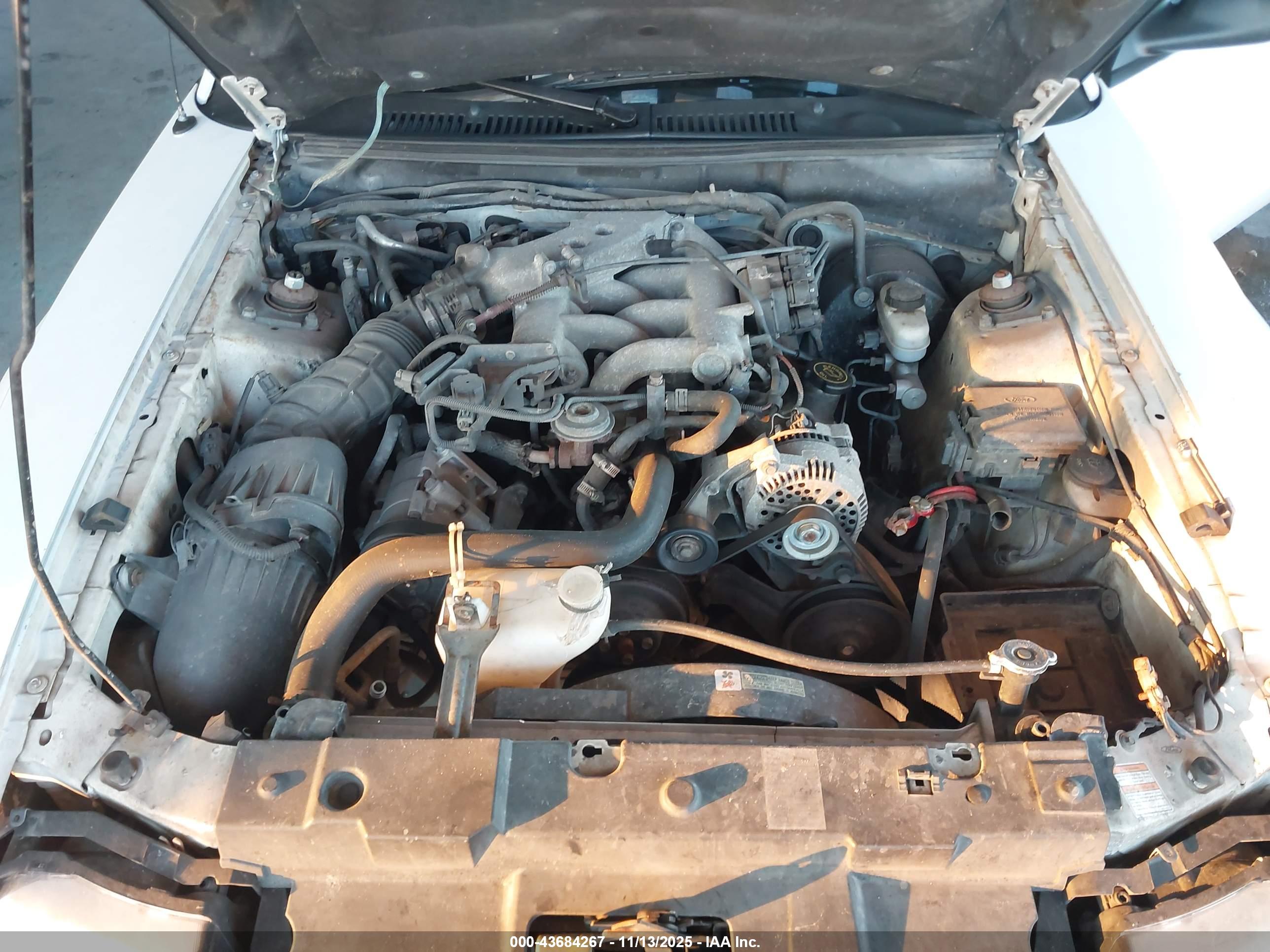 FORD MUSTANG image 10