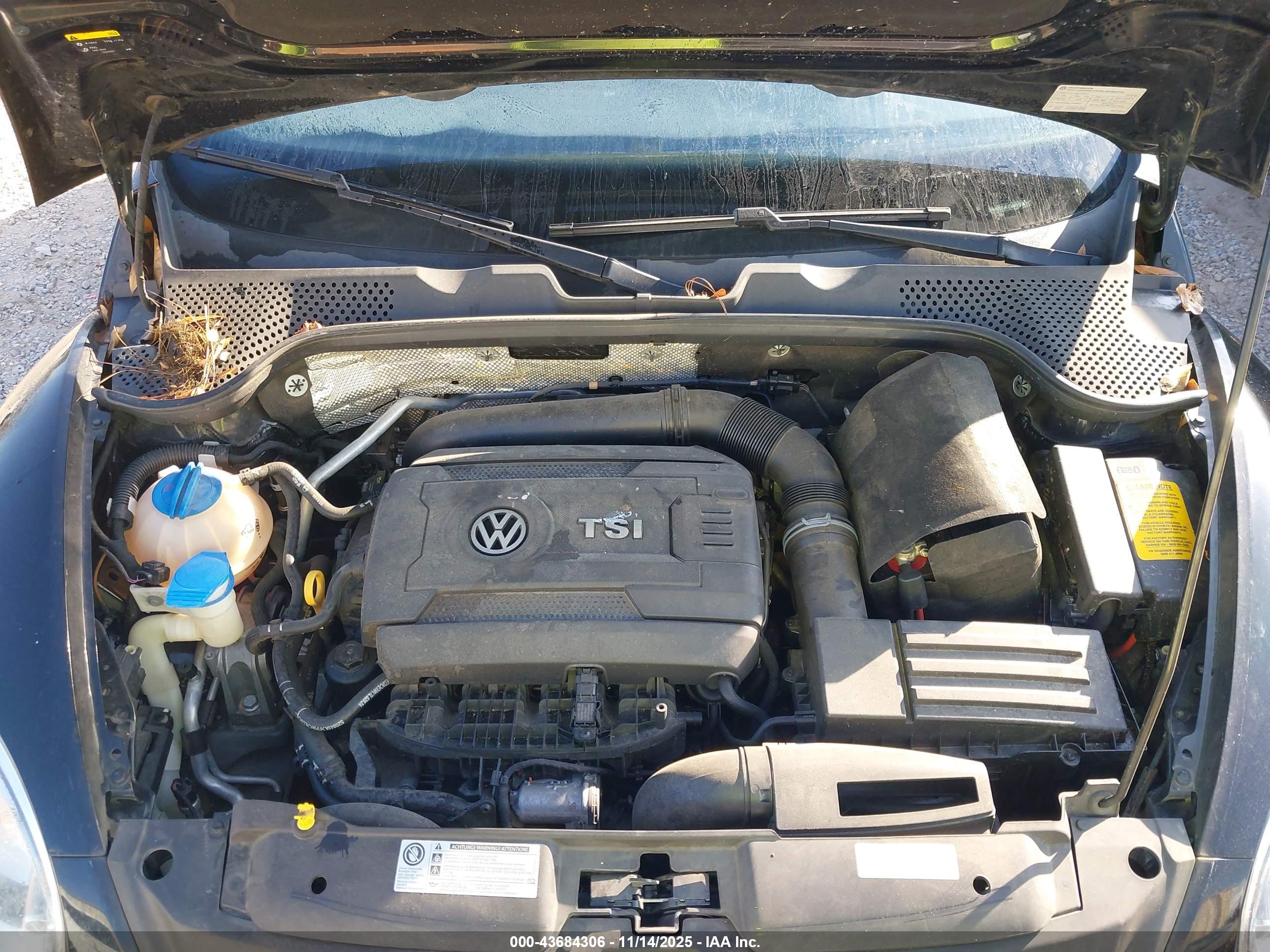 VOLKSWAGEN BEETLE image 10