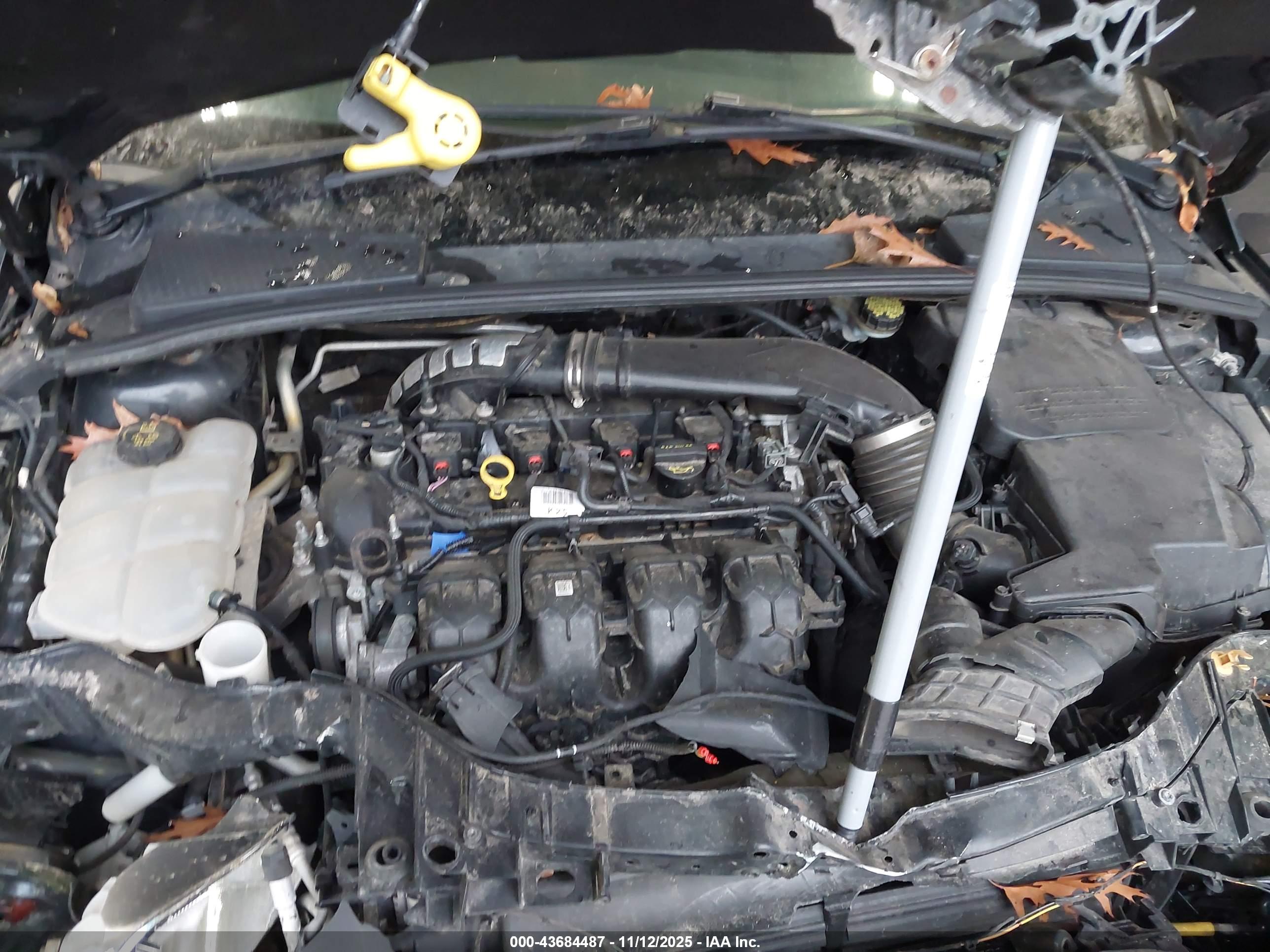 FORD FOCUS image 10