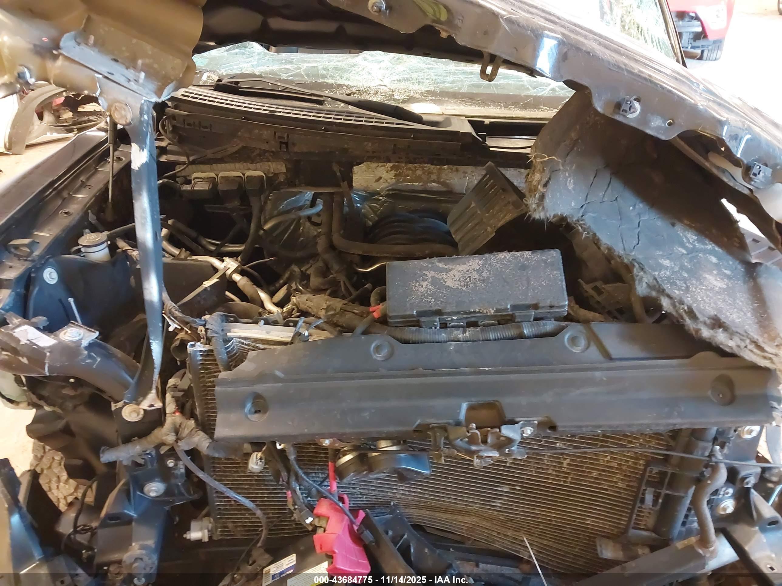 FORD F-150 image 10