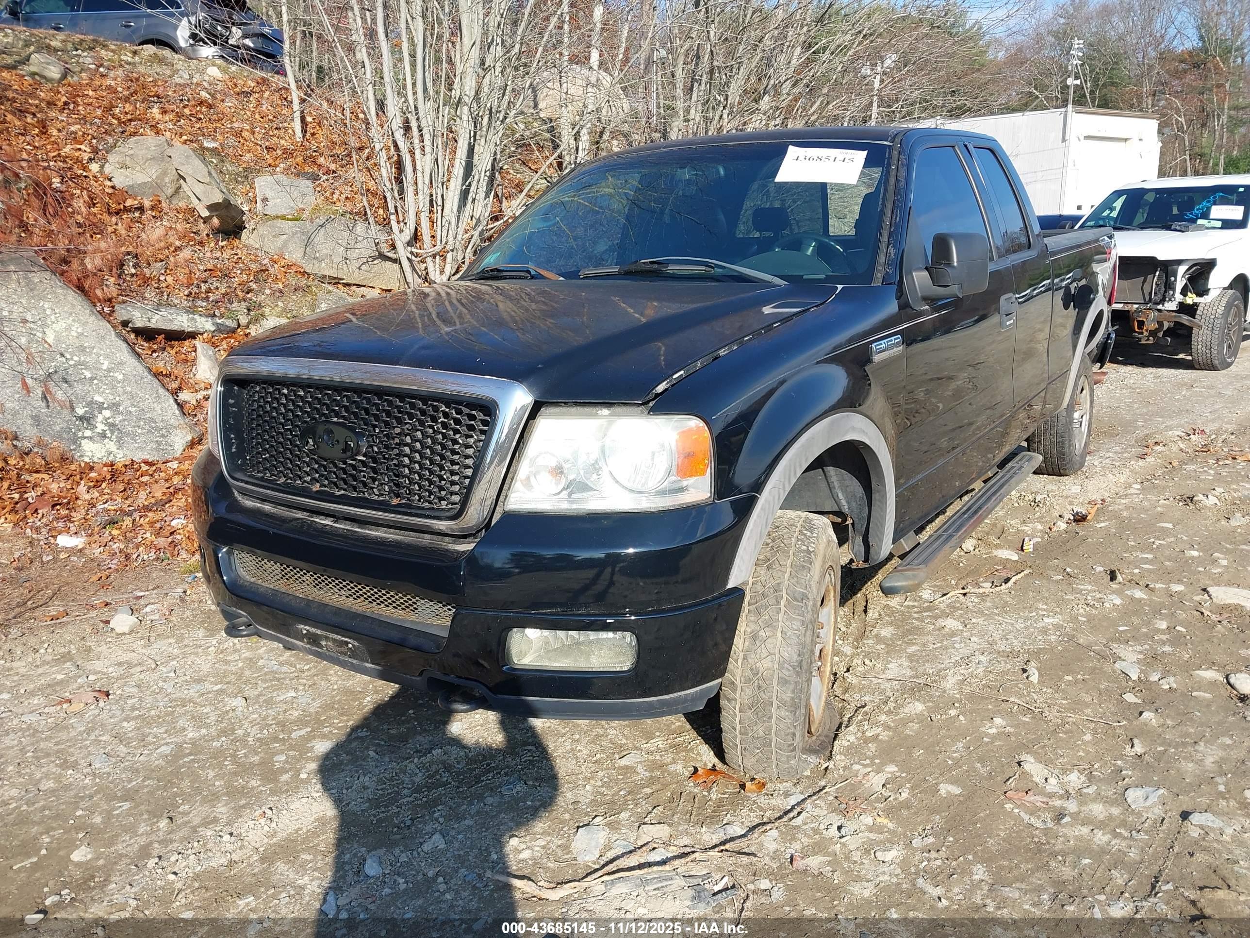 FORD F-150 image 2