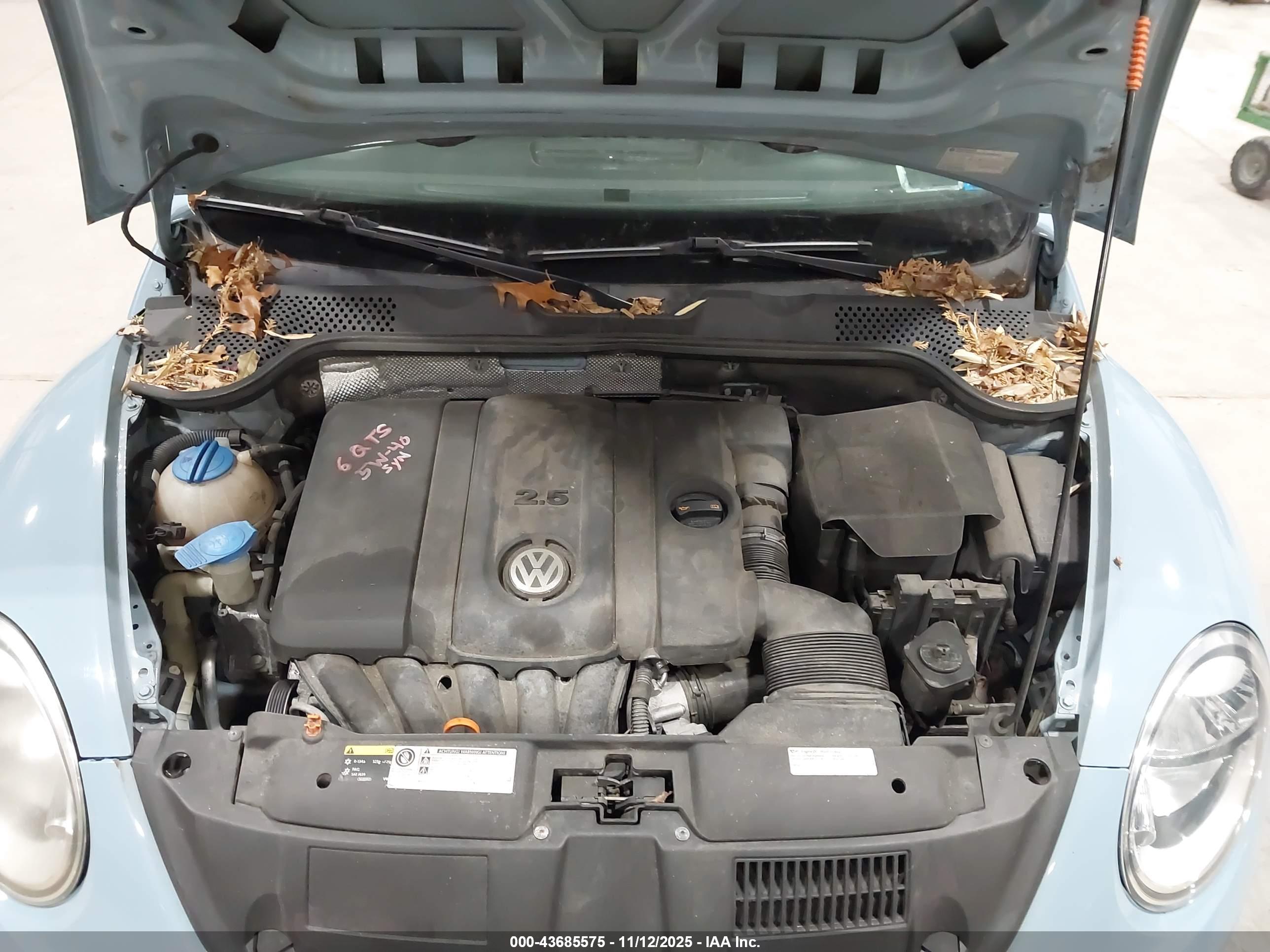 VOLKSWAGEN BEETLE image 10