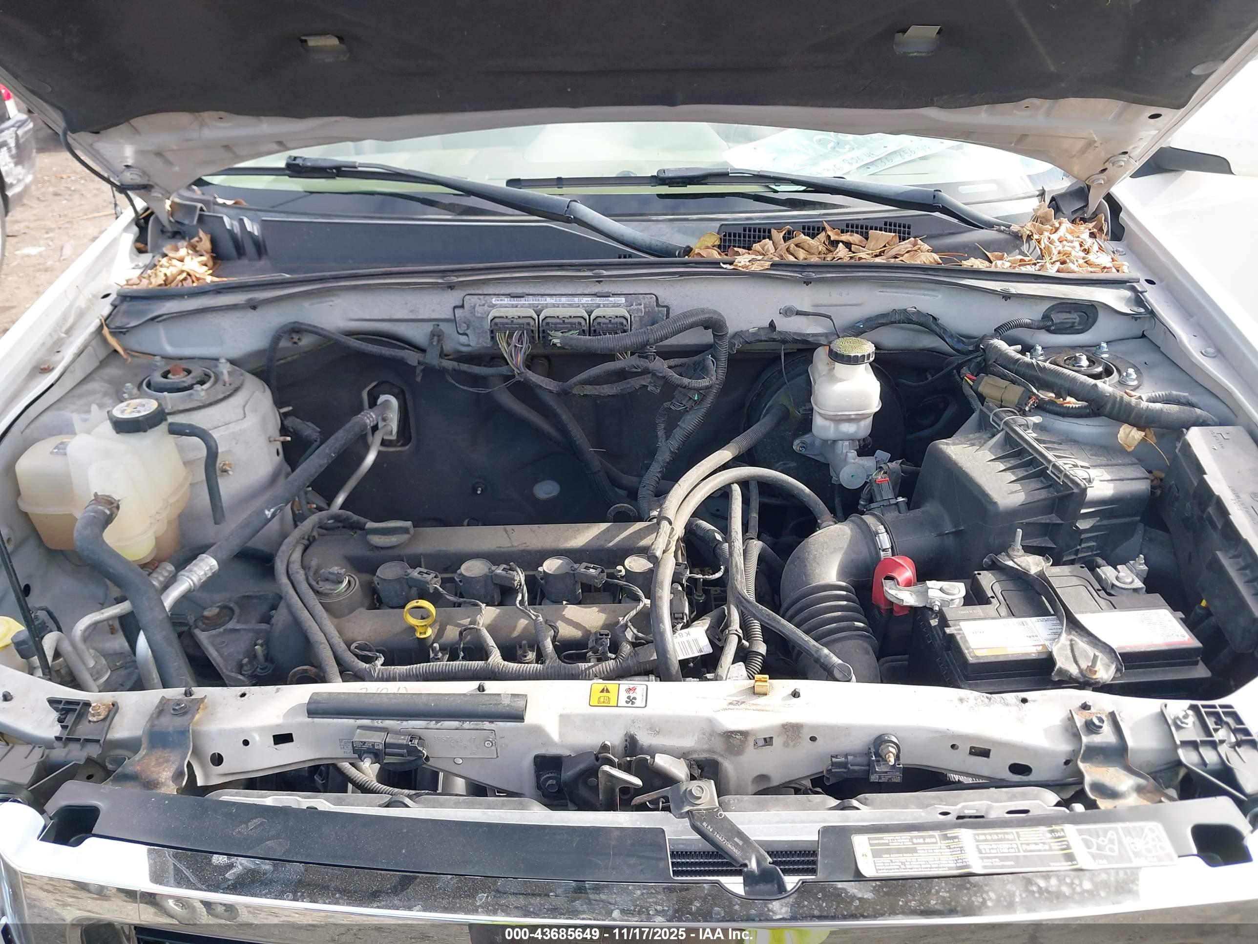 FORD ESCAPE image 10