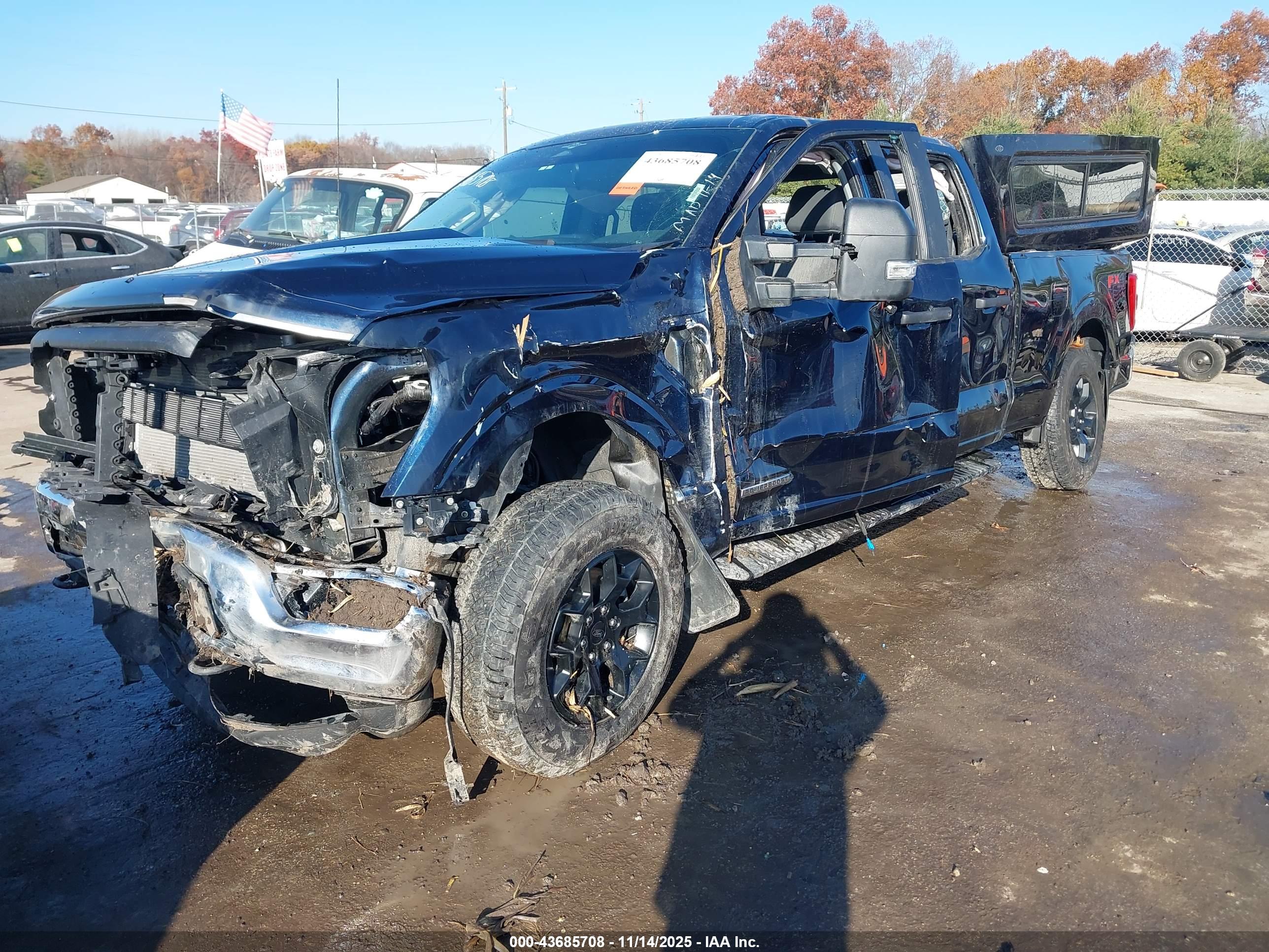 FORD F-150 image 2