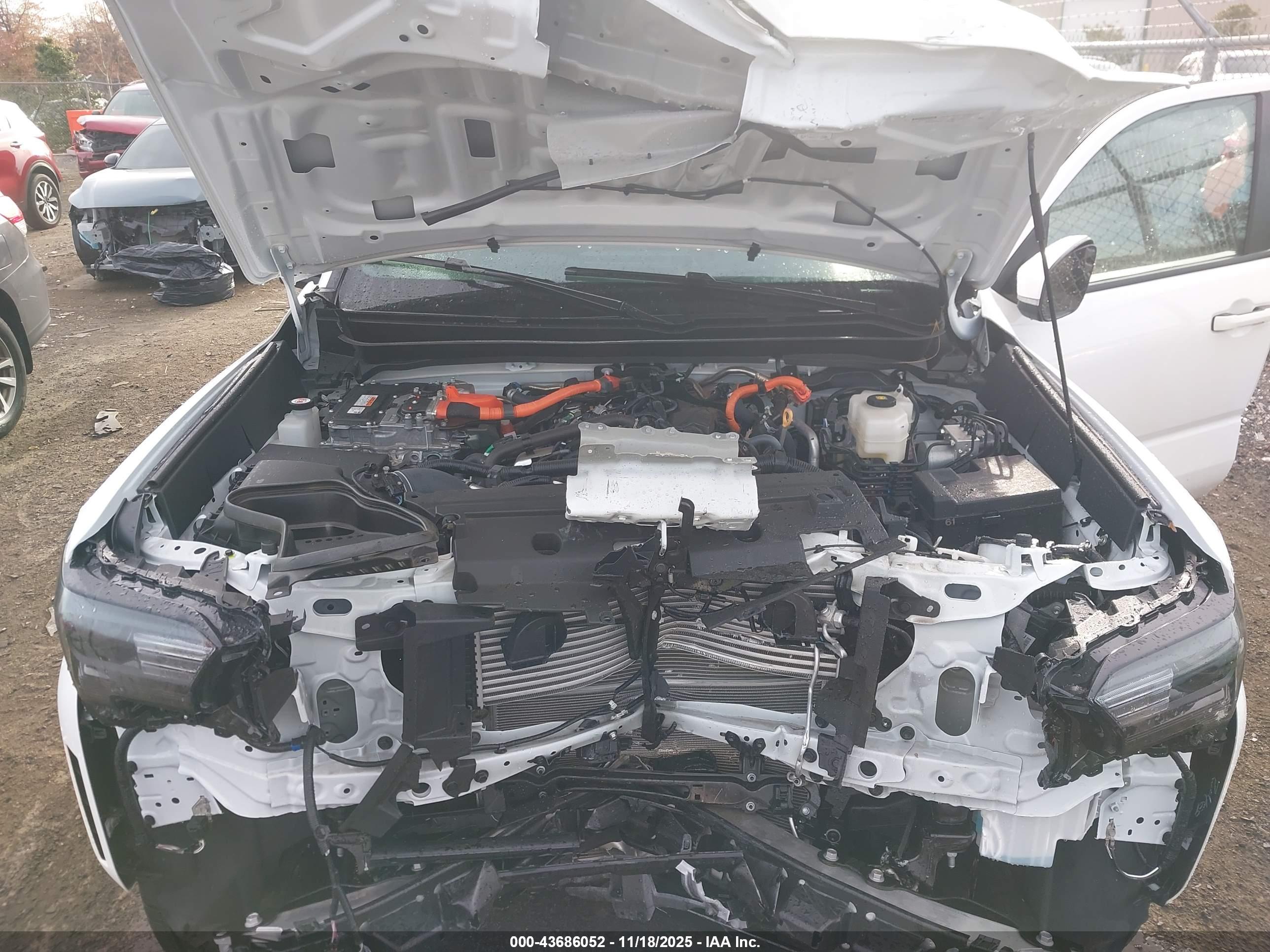 TOYOTA TACOMA image 10