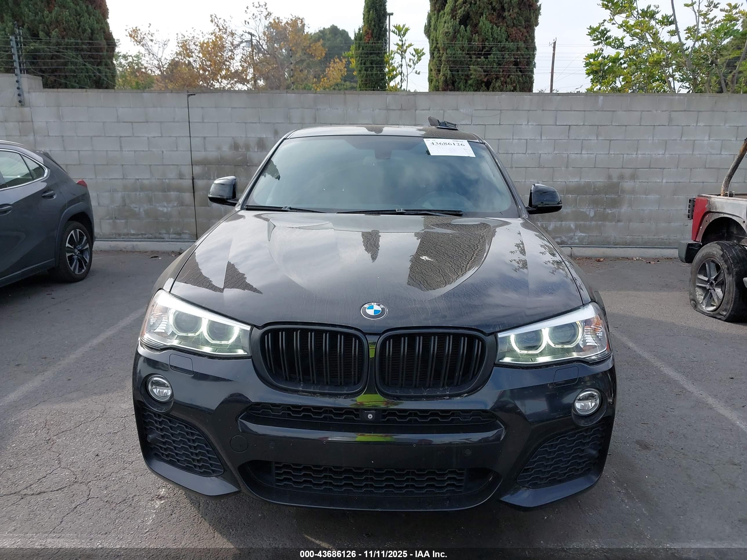 BMW X4 image 6