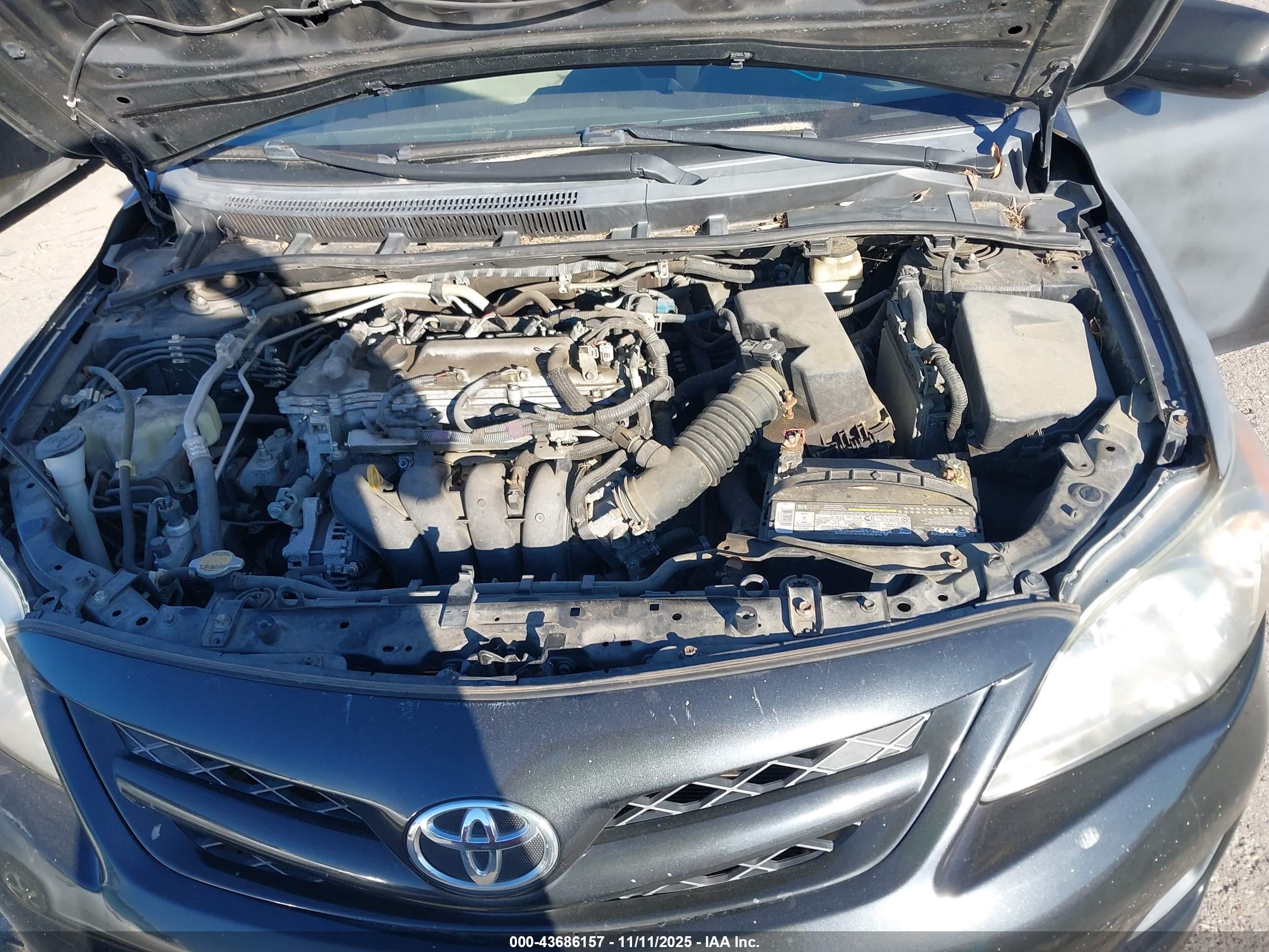 TOYOTA COROLLA image 10