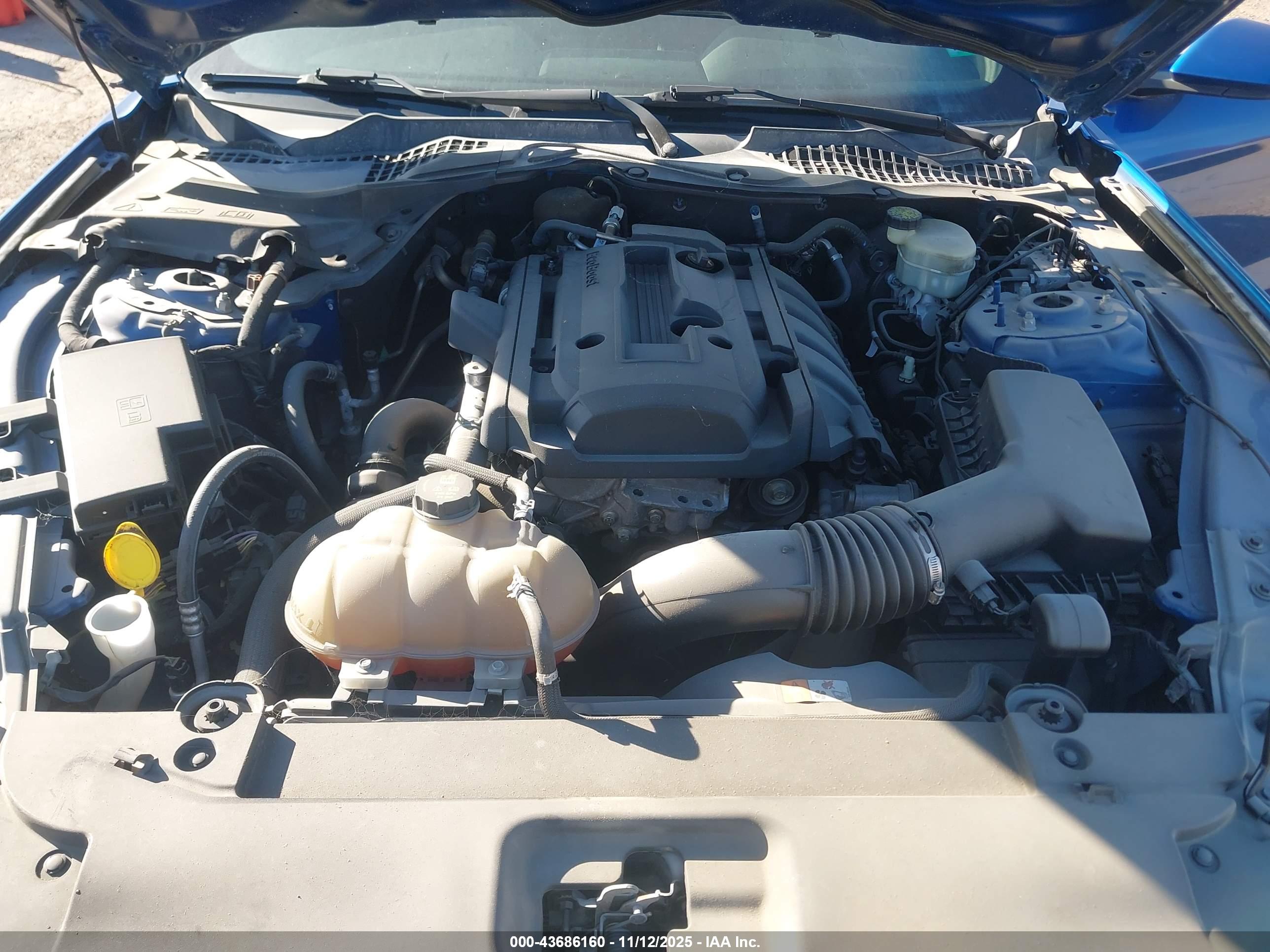 FORD MUSTANG image 10