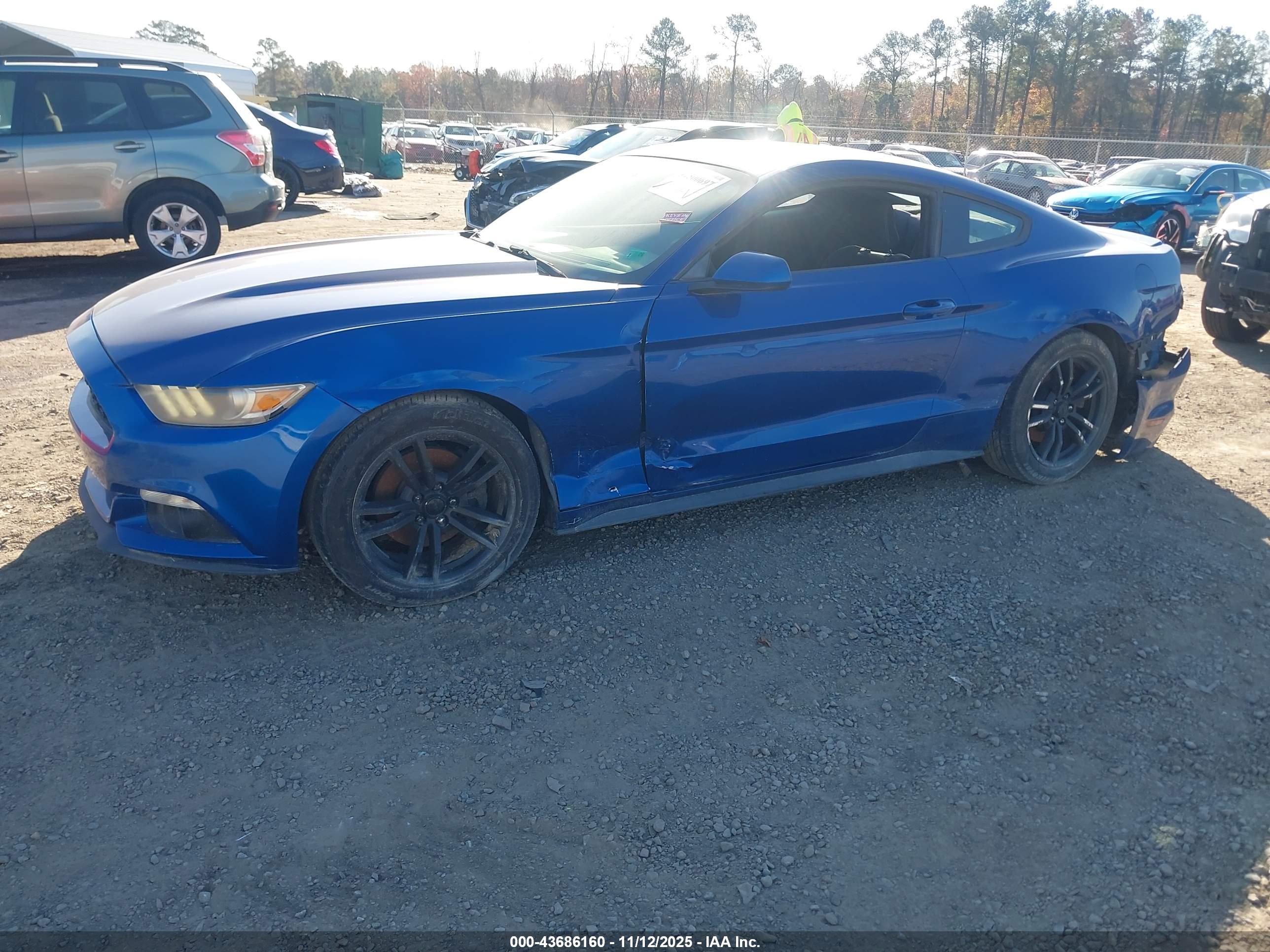 FORD MUSTANG image 2