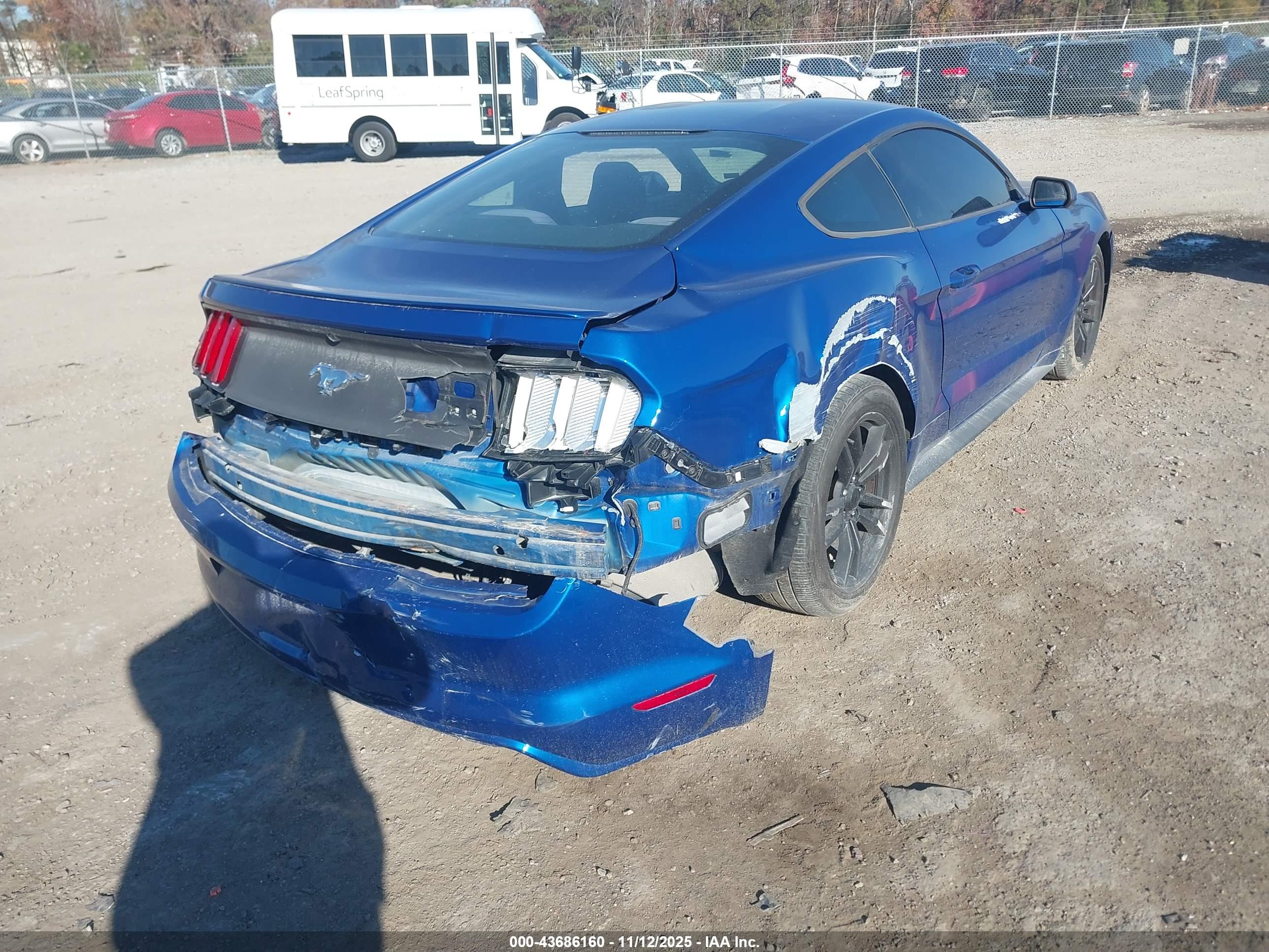 FORD MUSTANG image 4