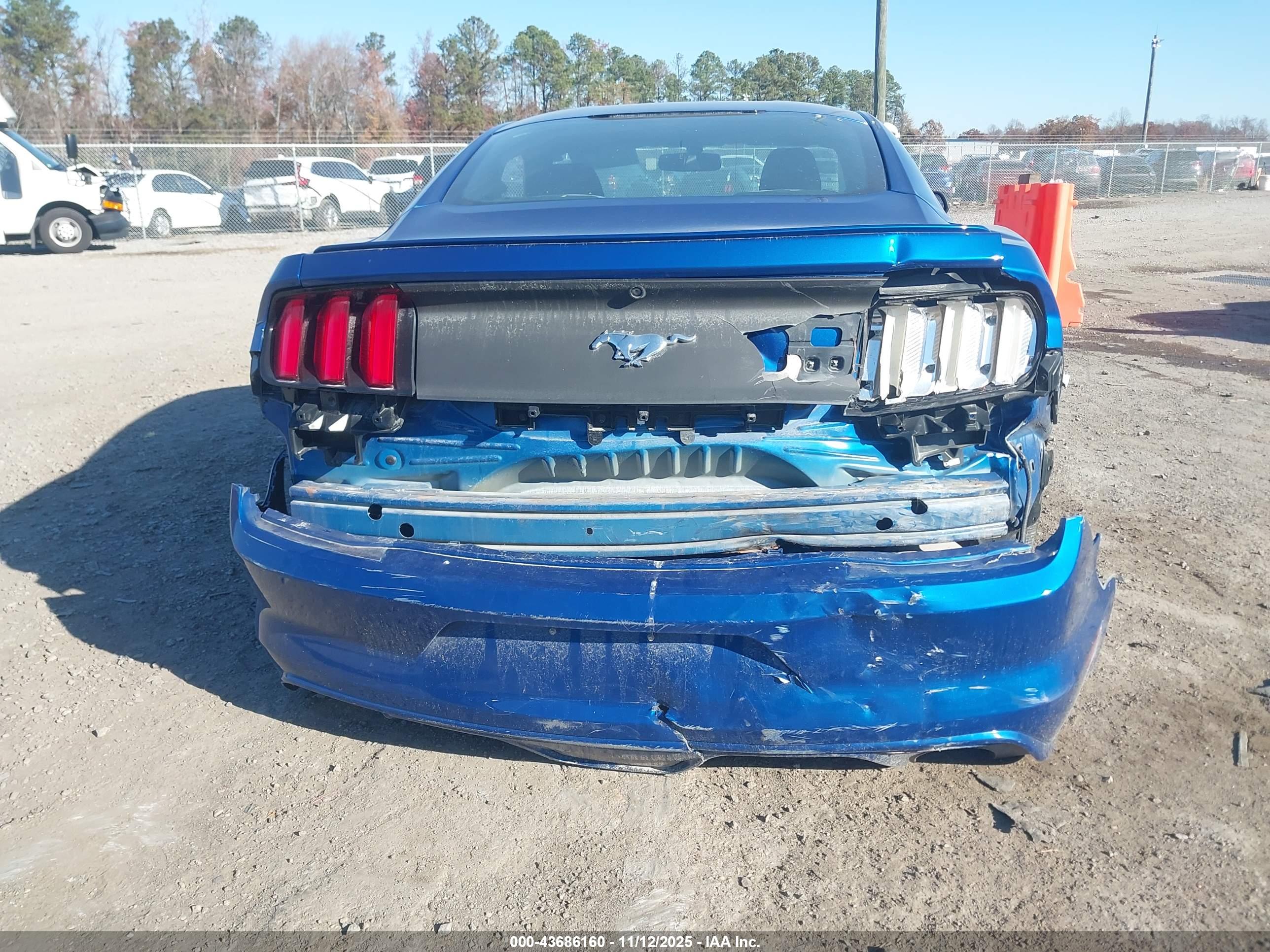 FORD MUSTANG image 6