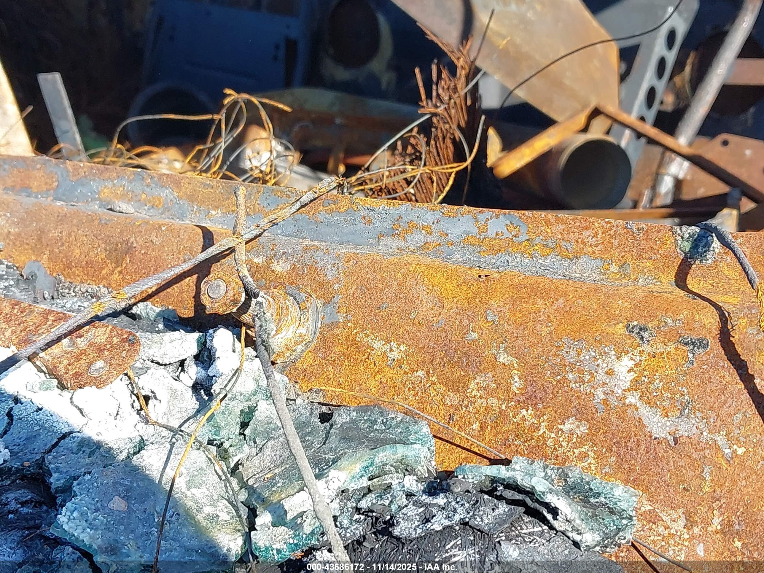 WESTERN STAR/AUTO image 9