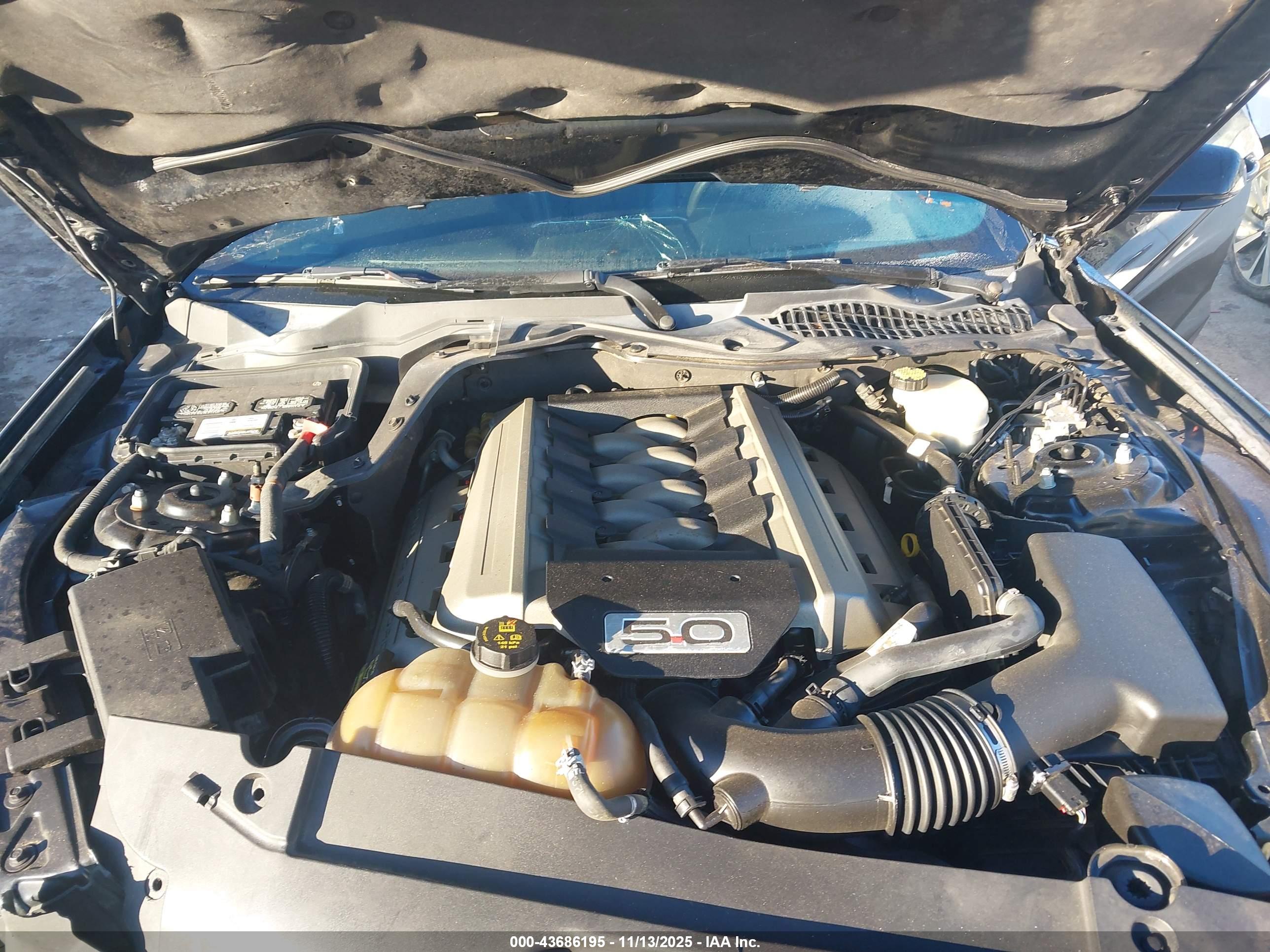 FORD MUSTANG image 10