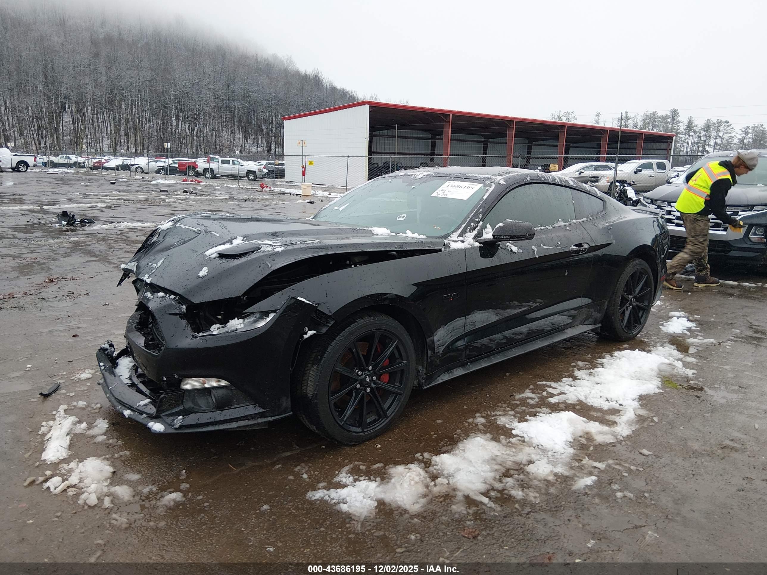 FORD MUSTANG image 2