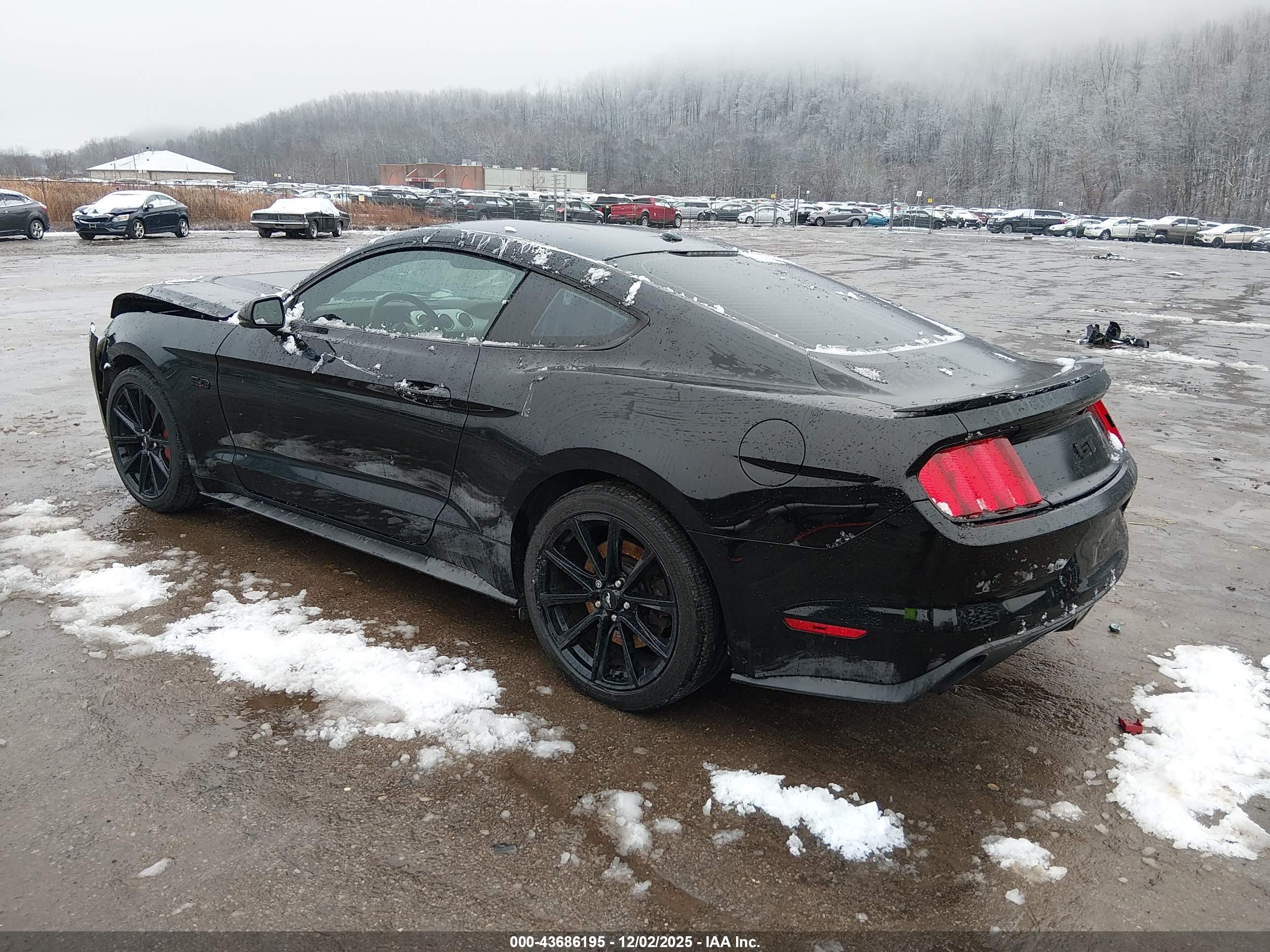 FORD MUSTANG image 3