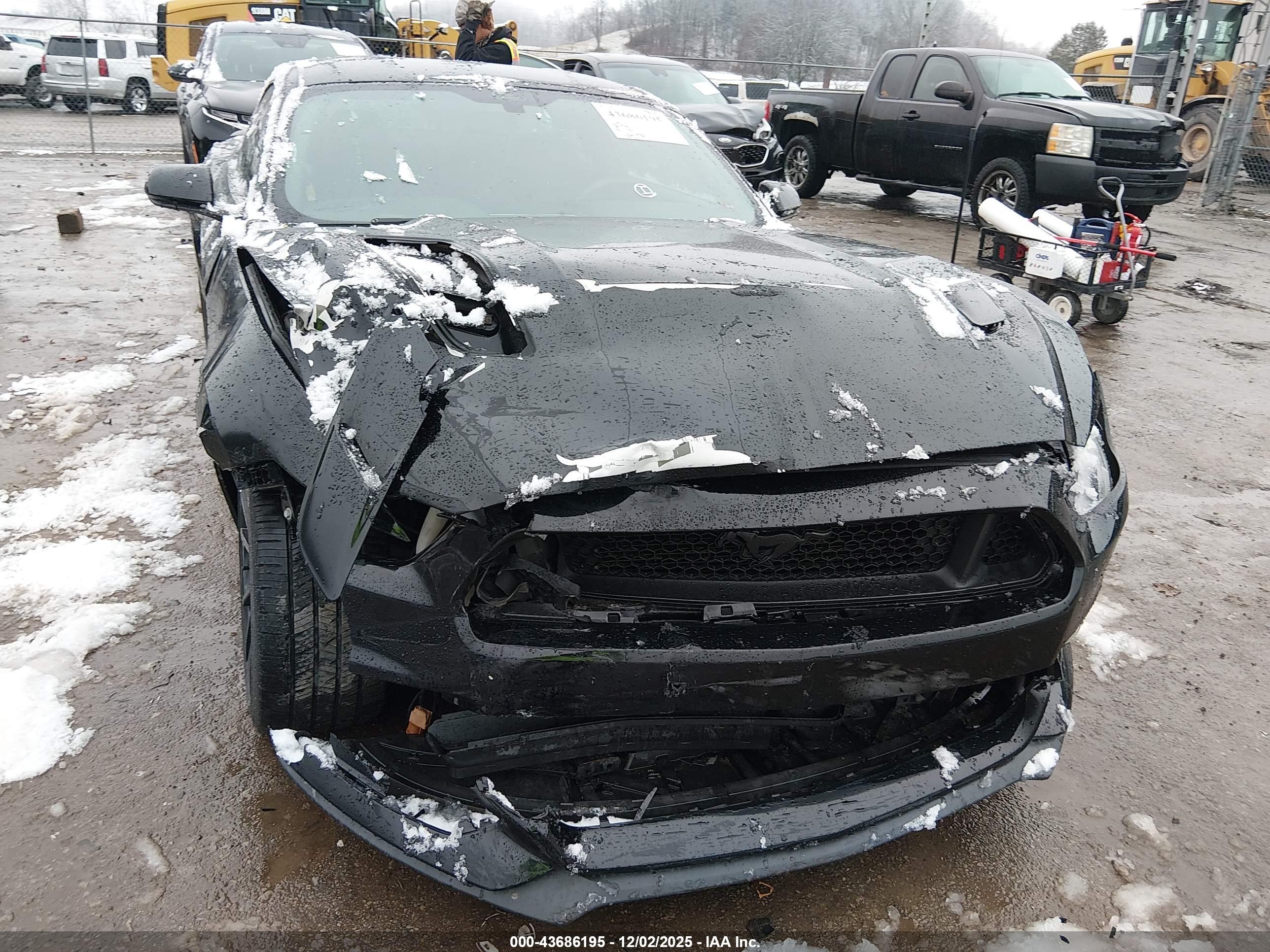 FORD MUSTANG image 6