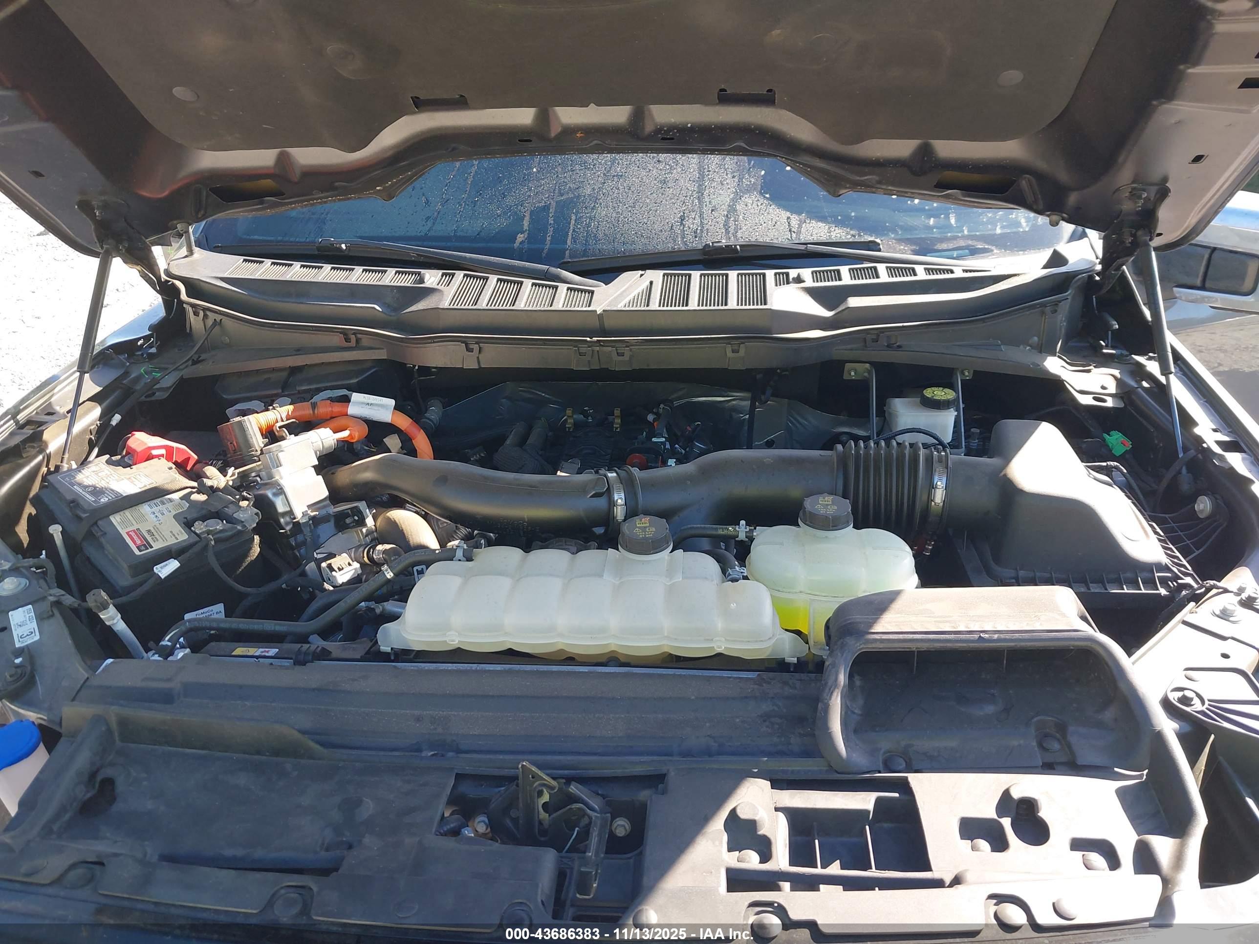 FORD F-150 image 10