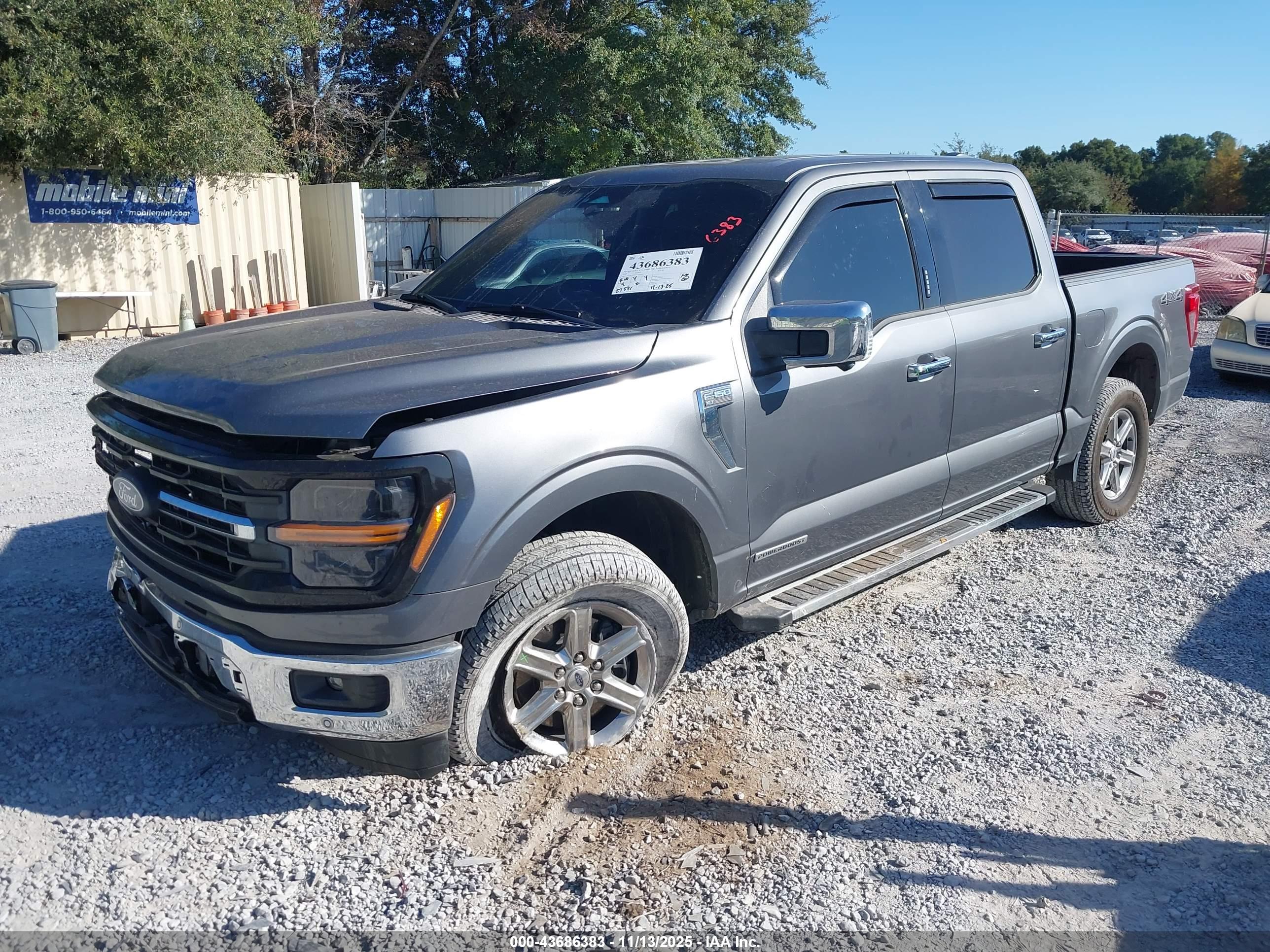 FORD F-150 image 2