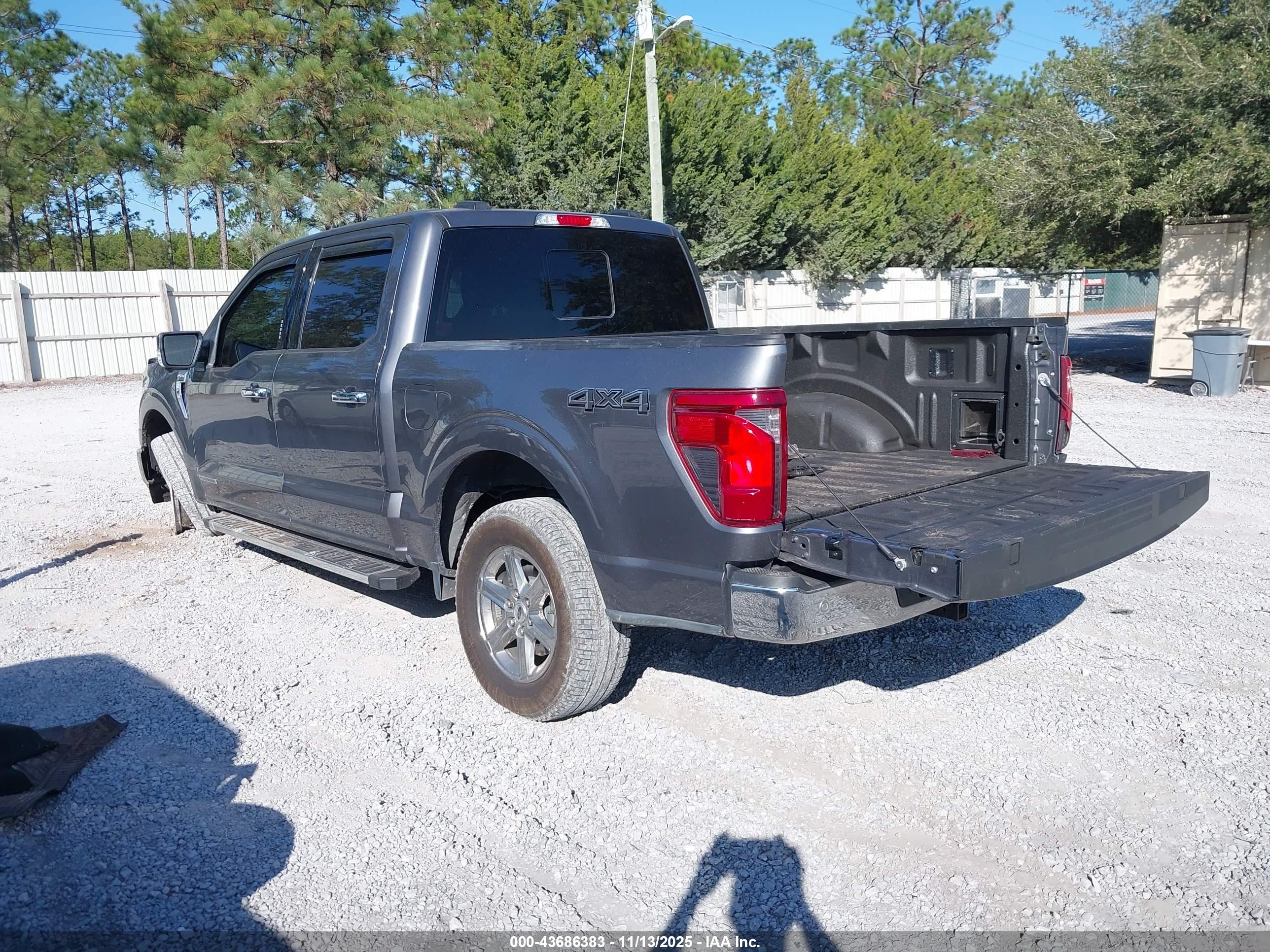 FORD F-150 image 3