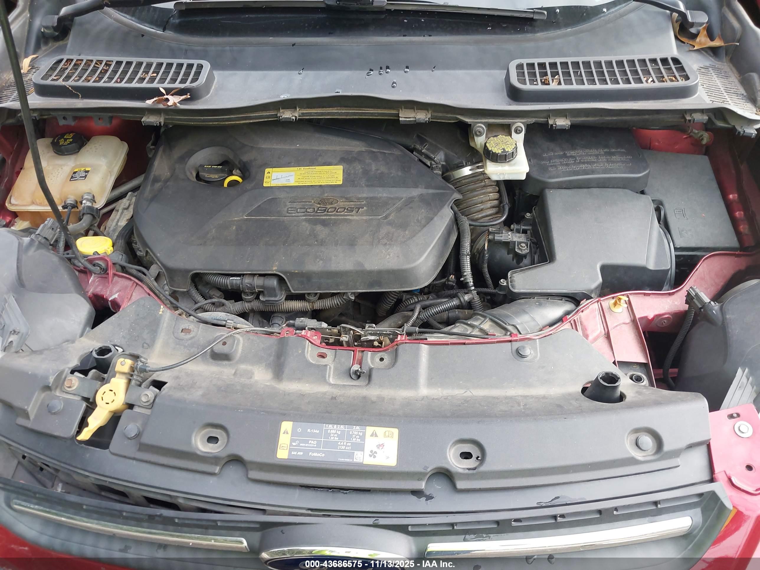 FORD ESCAPE image 10