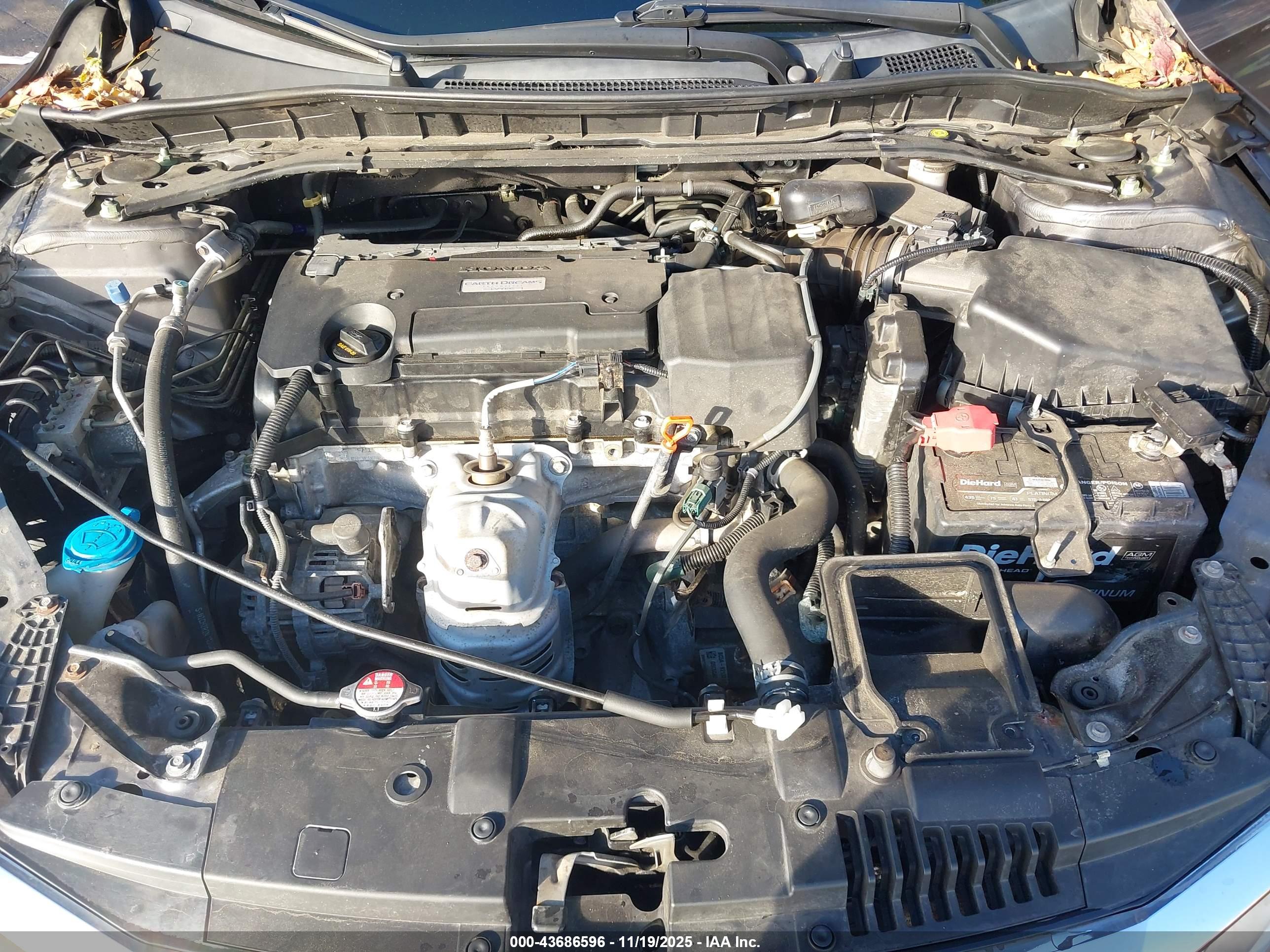 HONDA ACCORD image 10