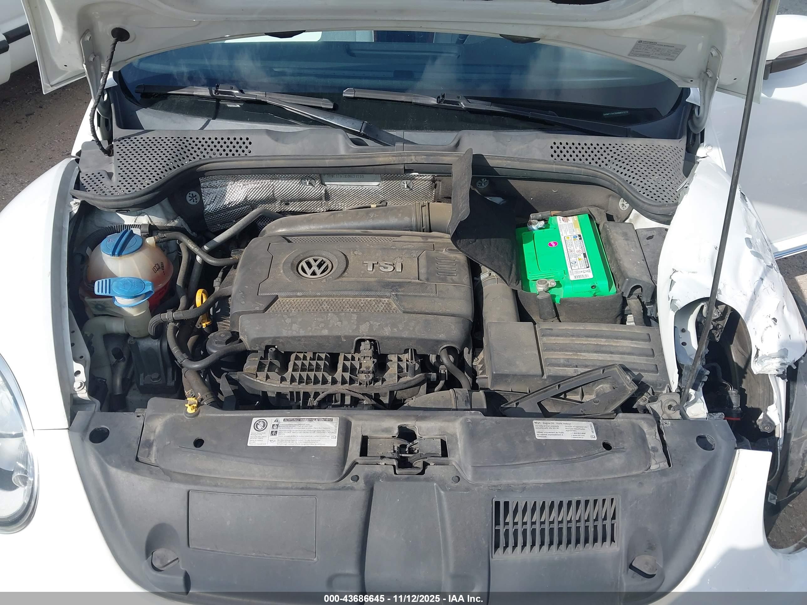 VOLKSWAGEN BEETLE image 10