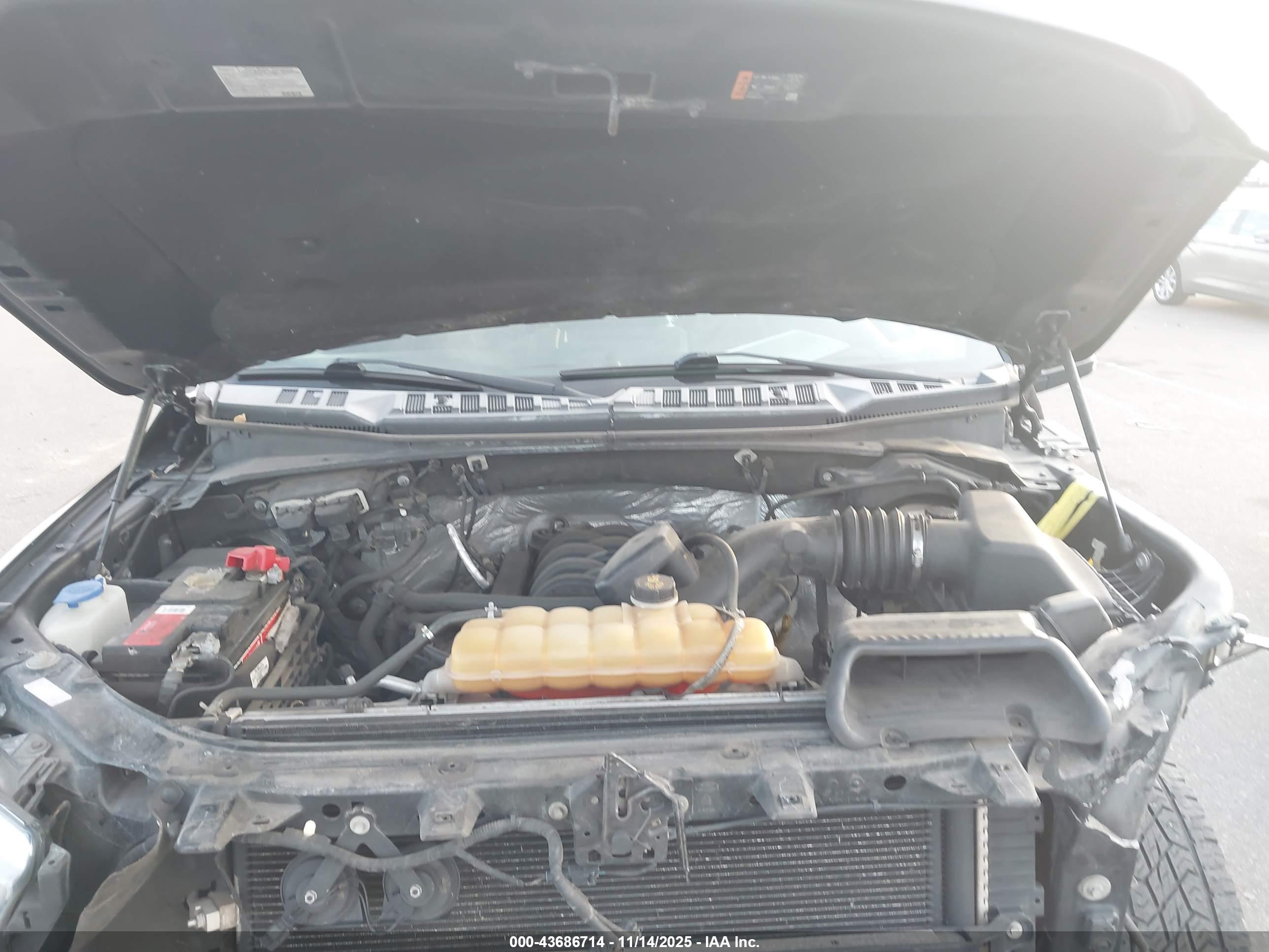 FORD F-150 image 10