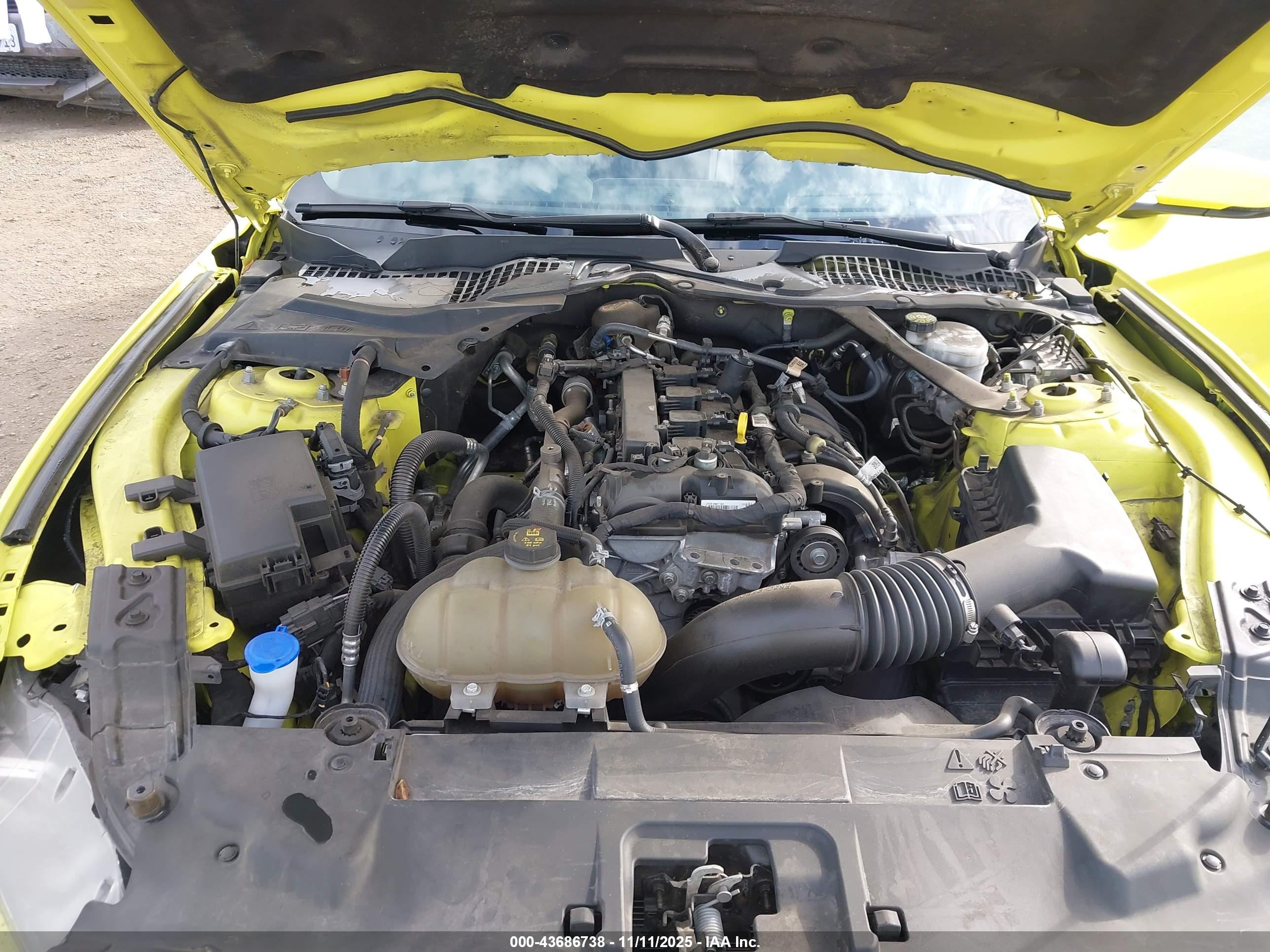FORD MUSTANG image 10