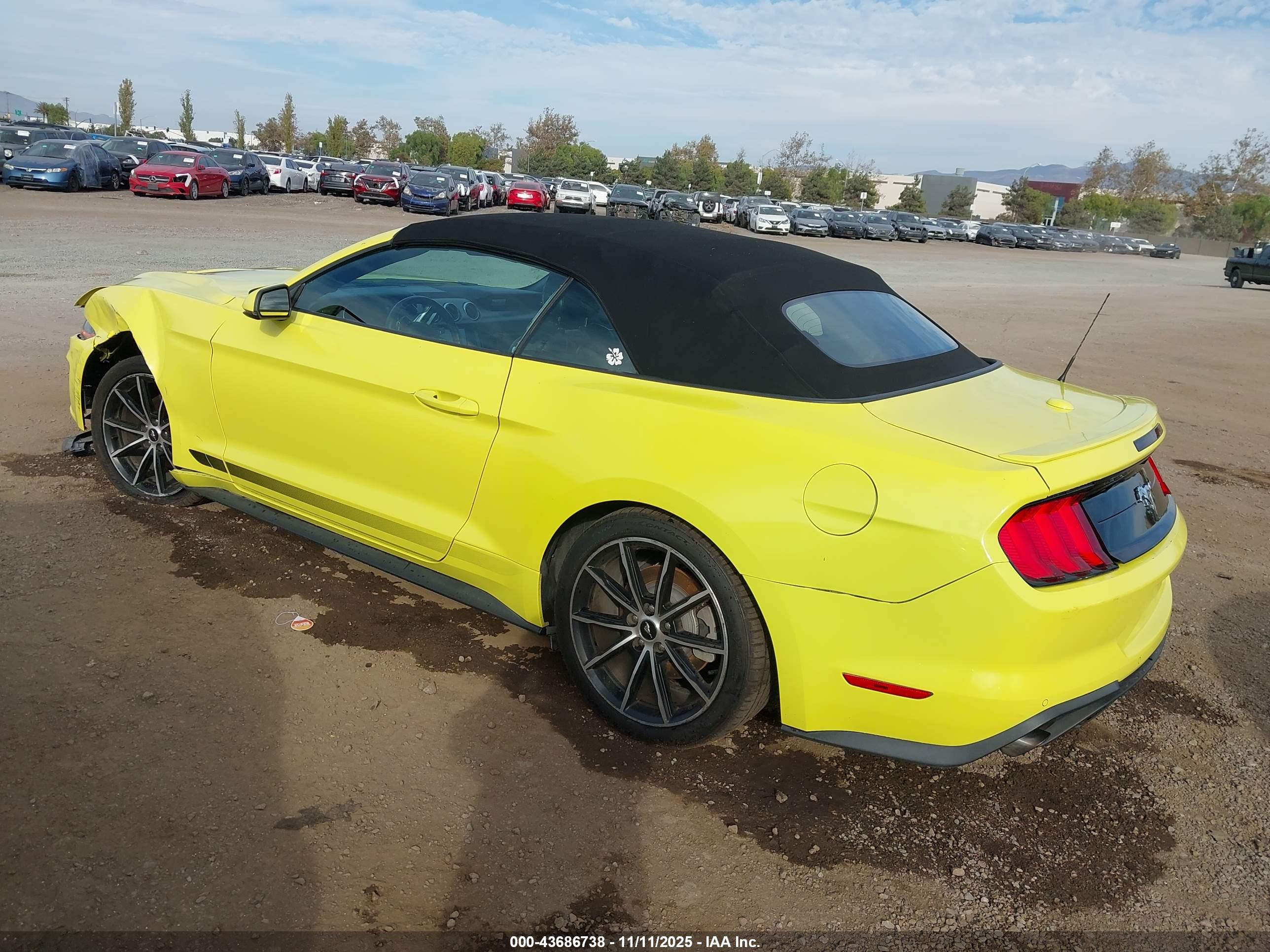 FORD MUSTANG image 3