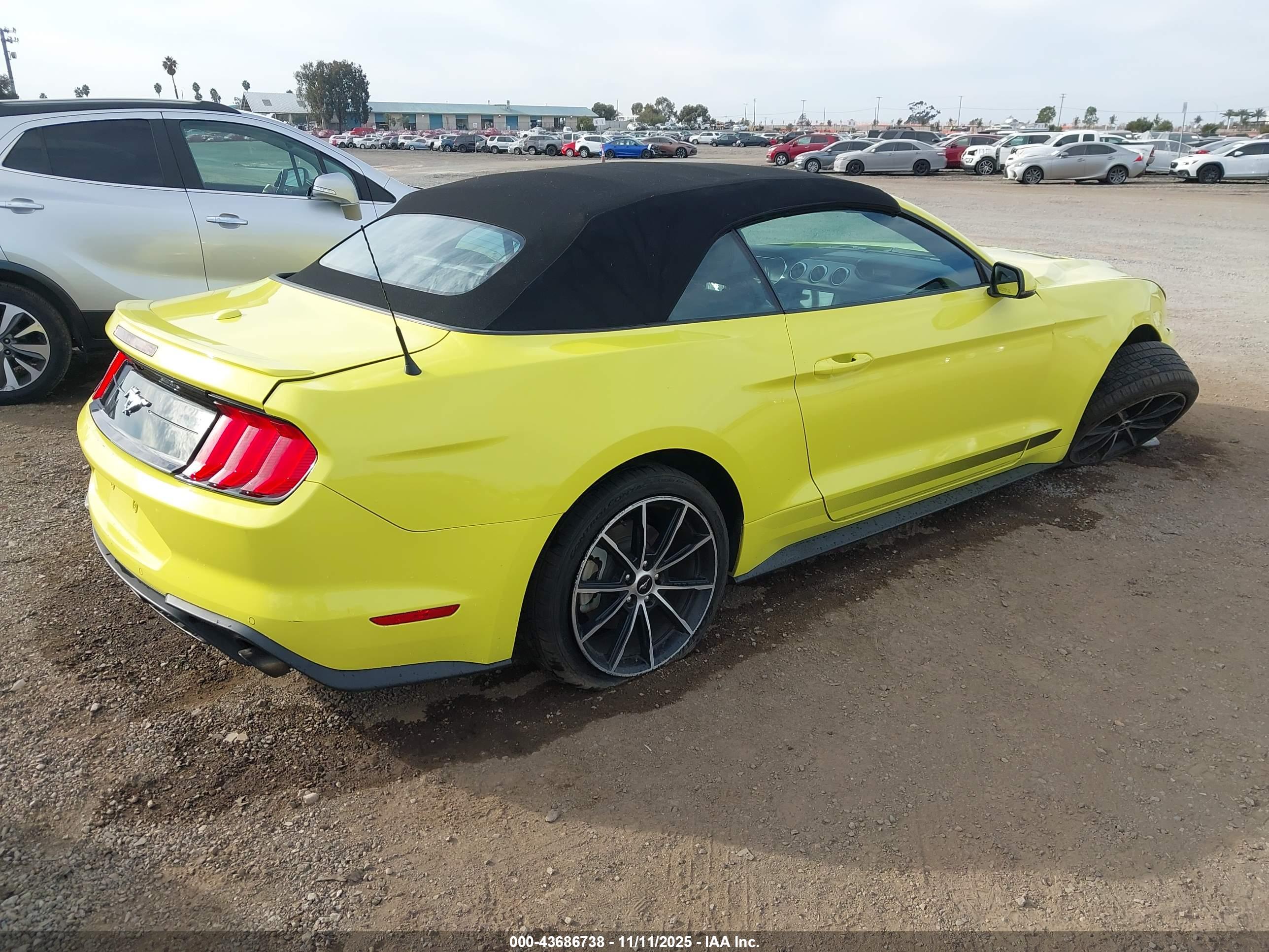 FORD MUSTANG image 4