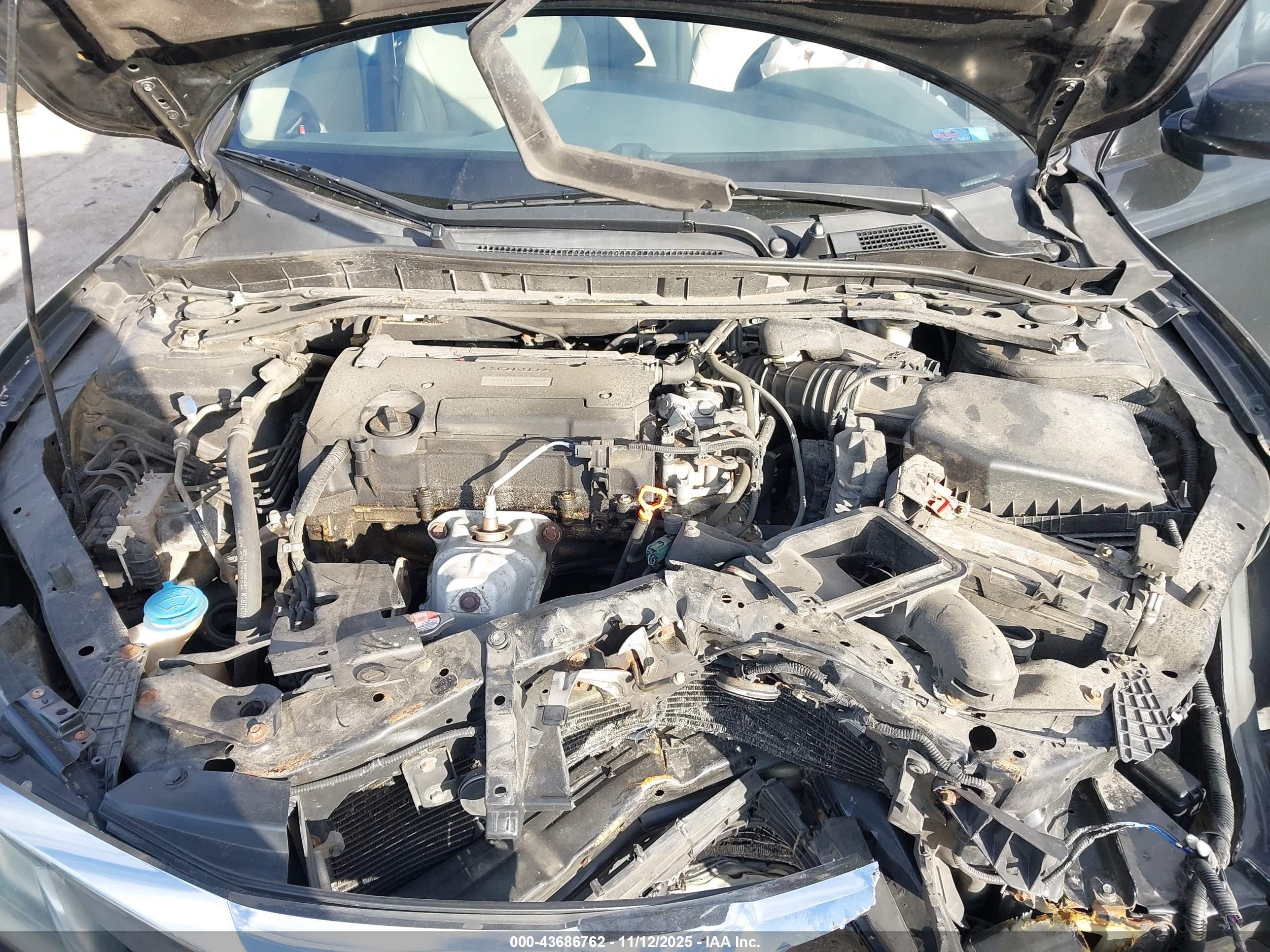 HONDA ACCORD image 10