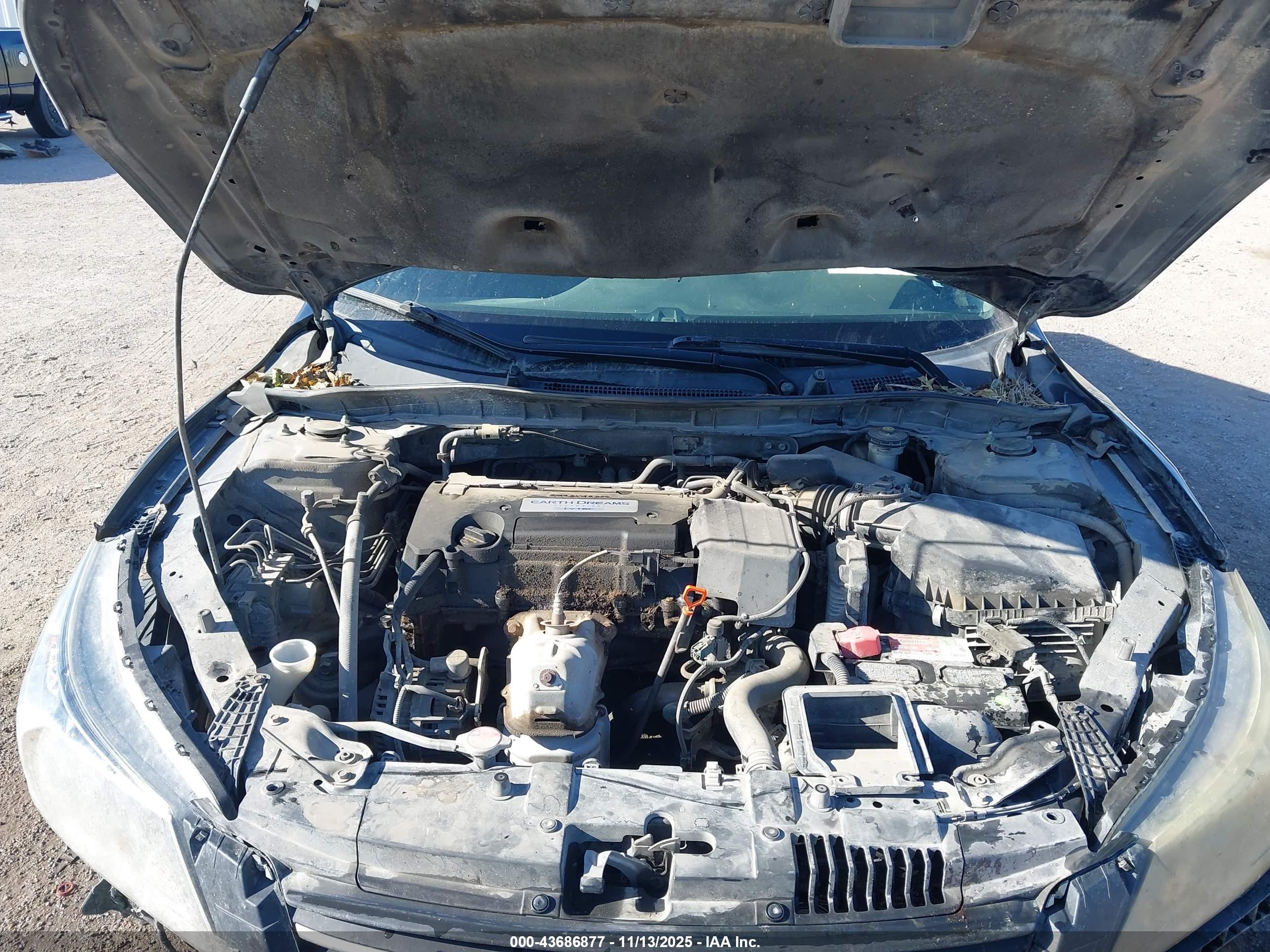 HONDA ACCORD image 10