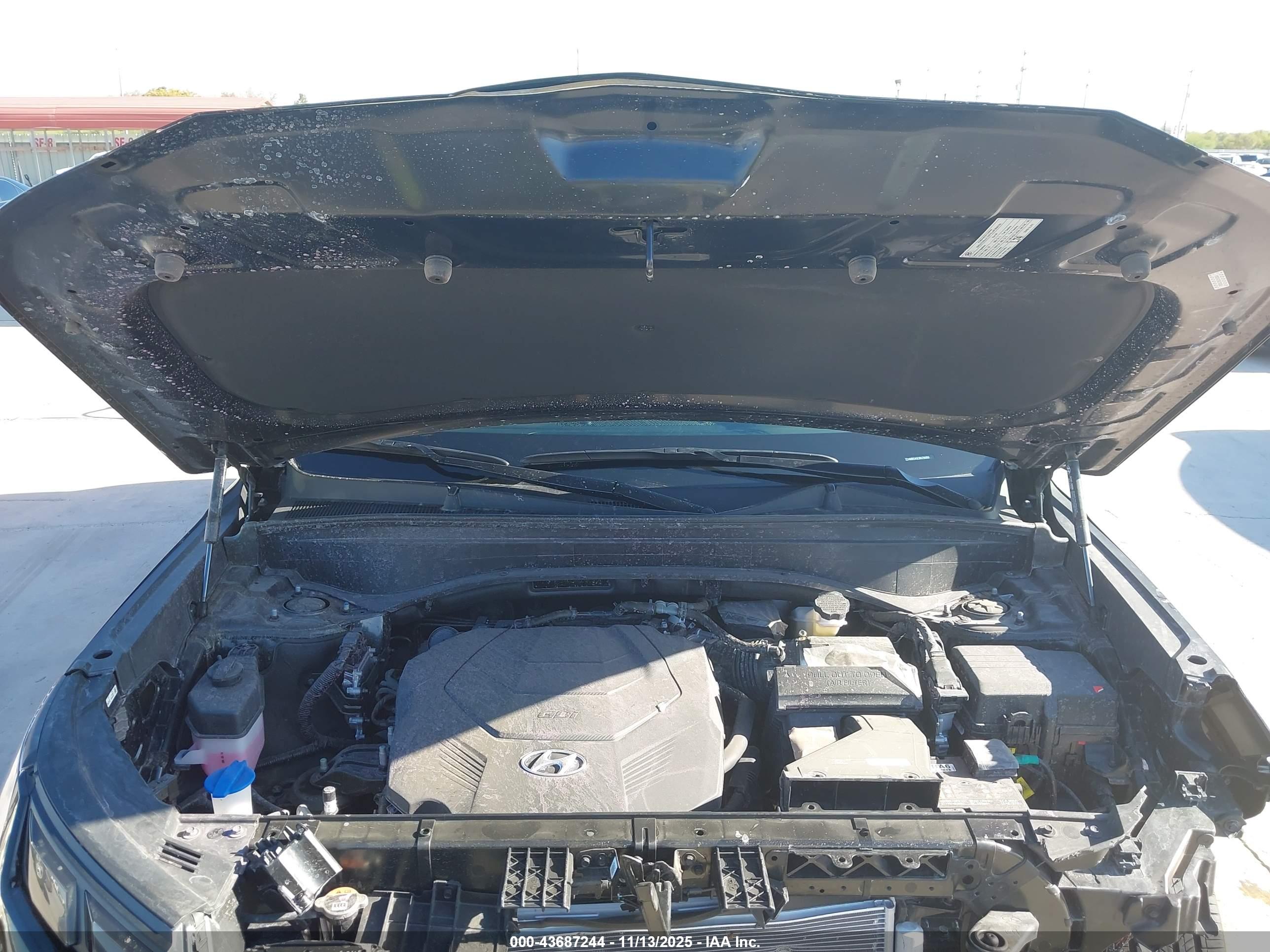 HYUNDAI PALISADE image 10
