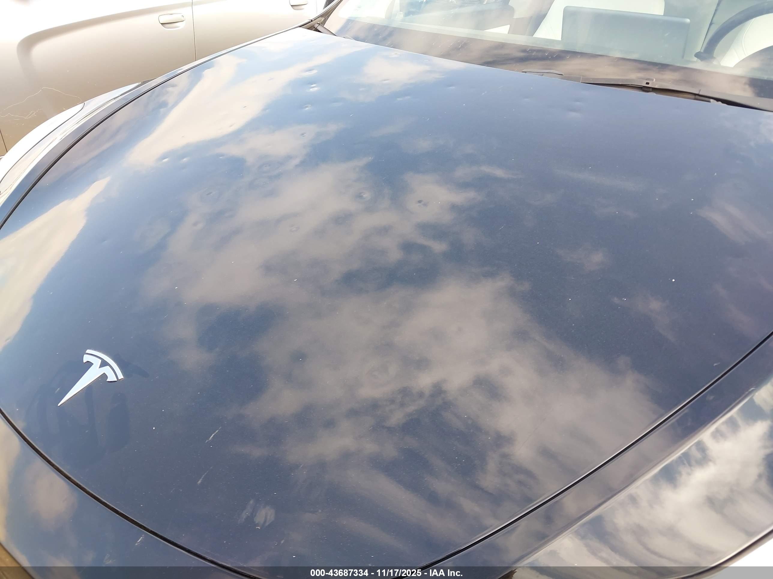 TESLA MODEL image 6