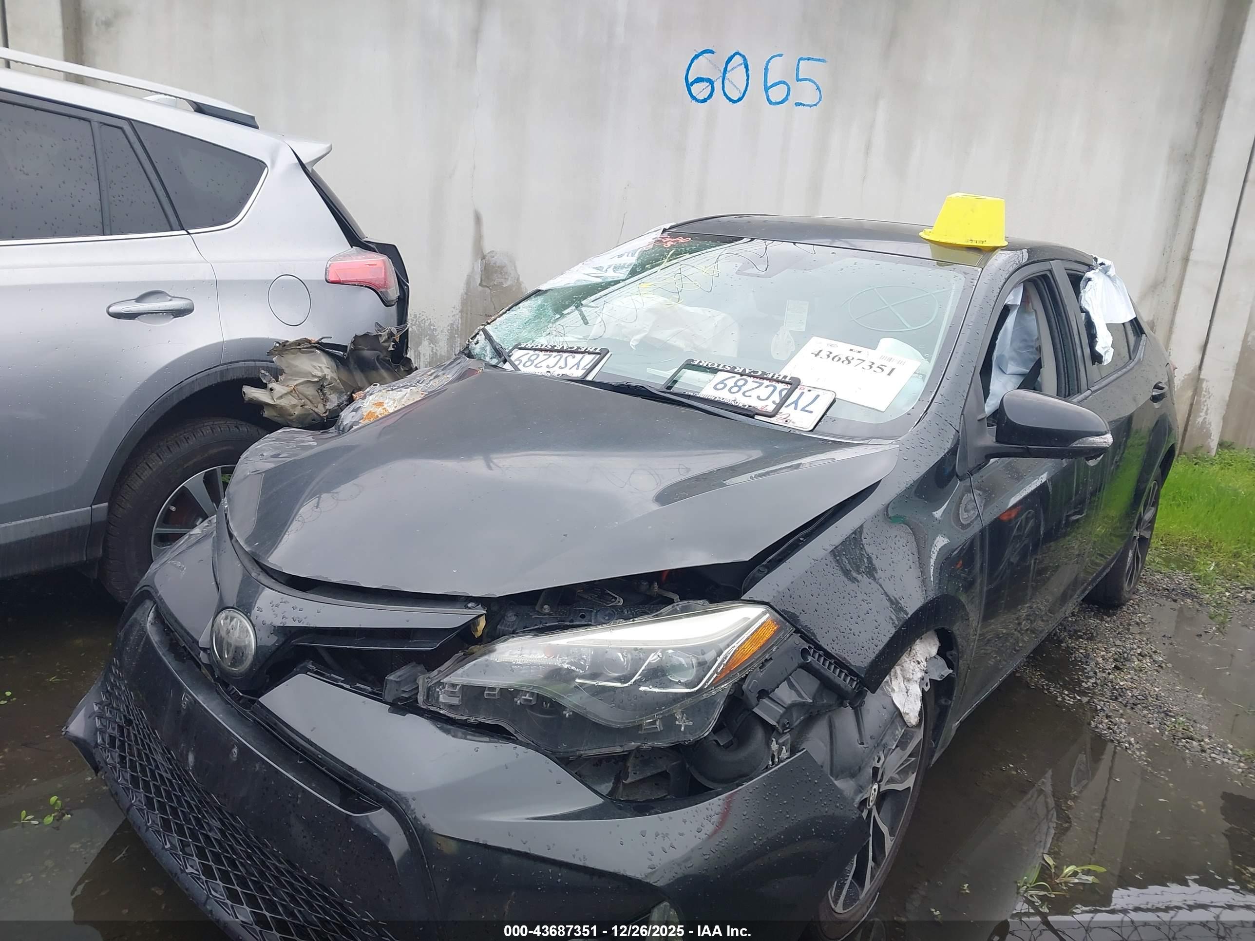 TOYOTA COROLLA image 2