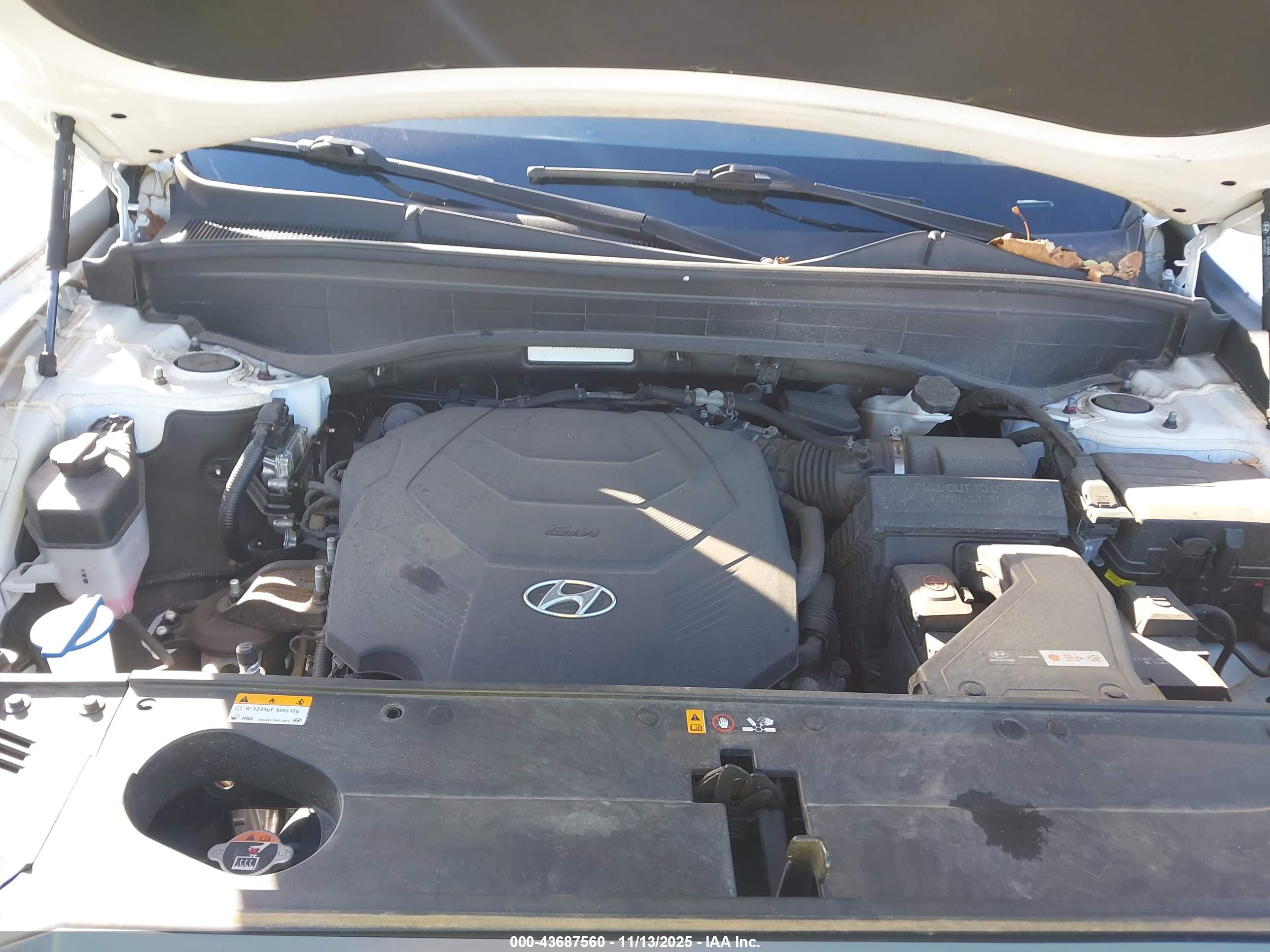 HYUNDAI PALISADE image 10
