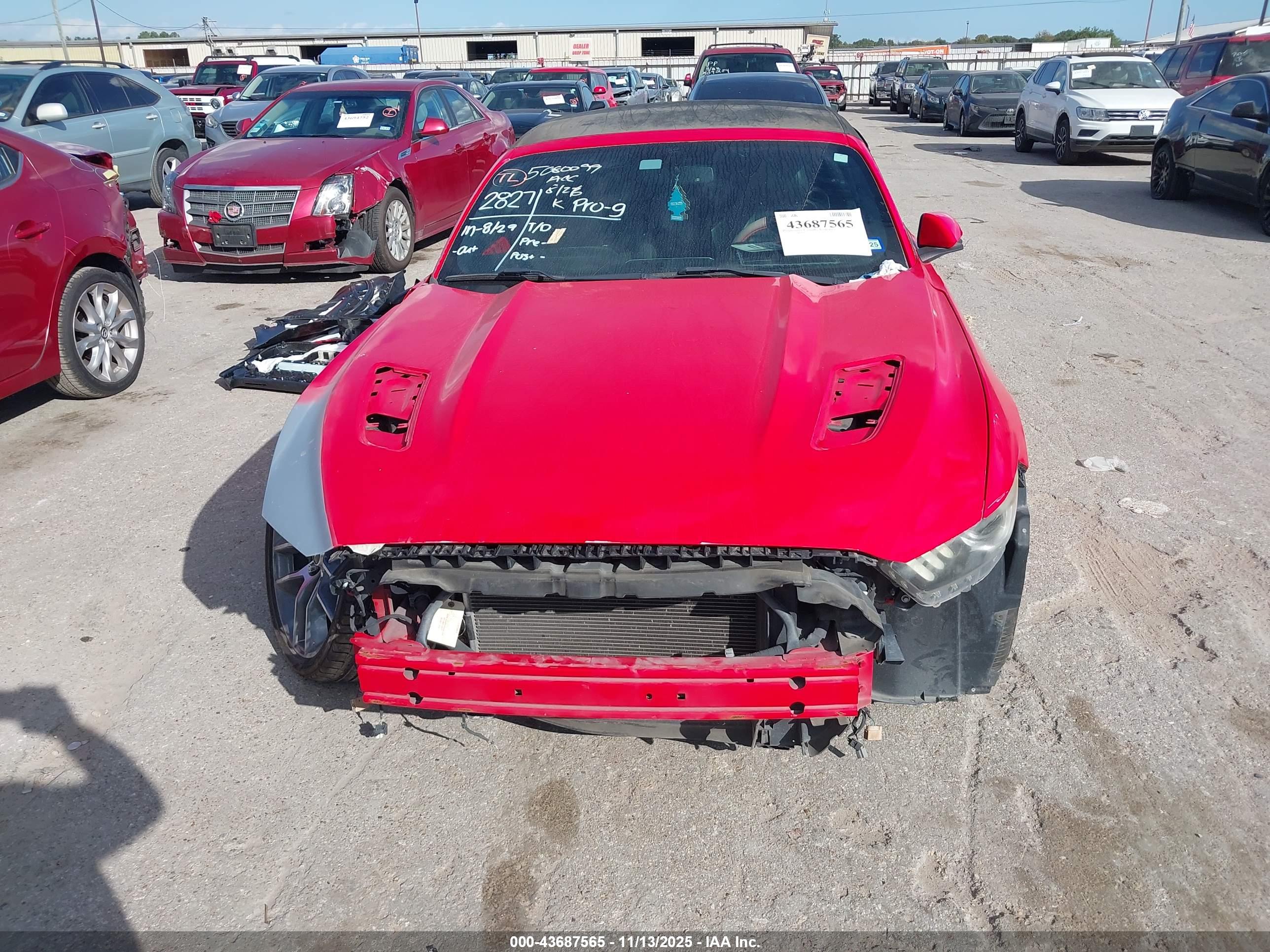 FORD MUSTANG image 6
