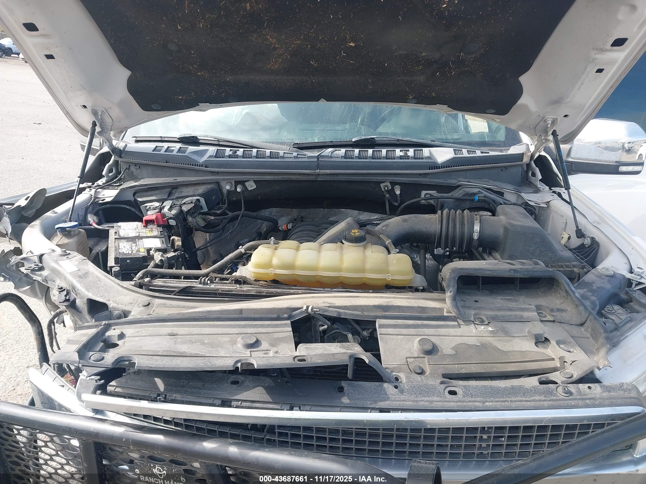 FORD F-150 image 10