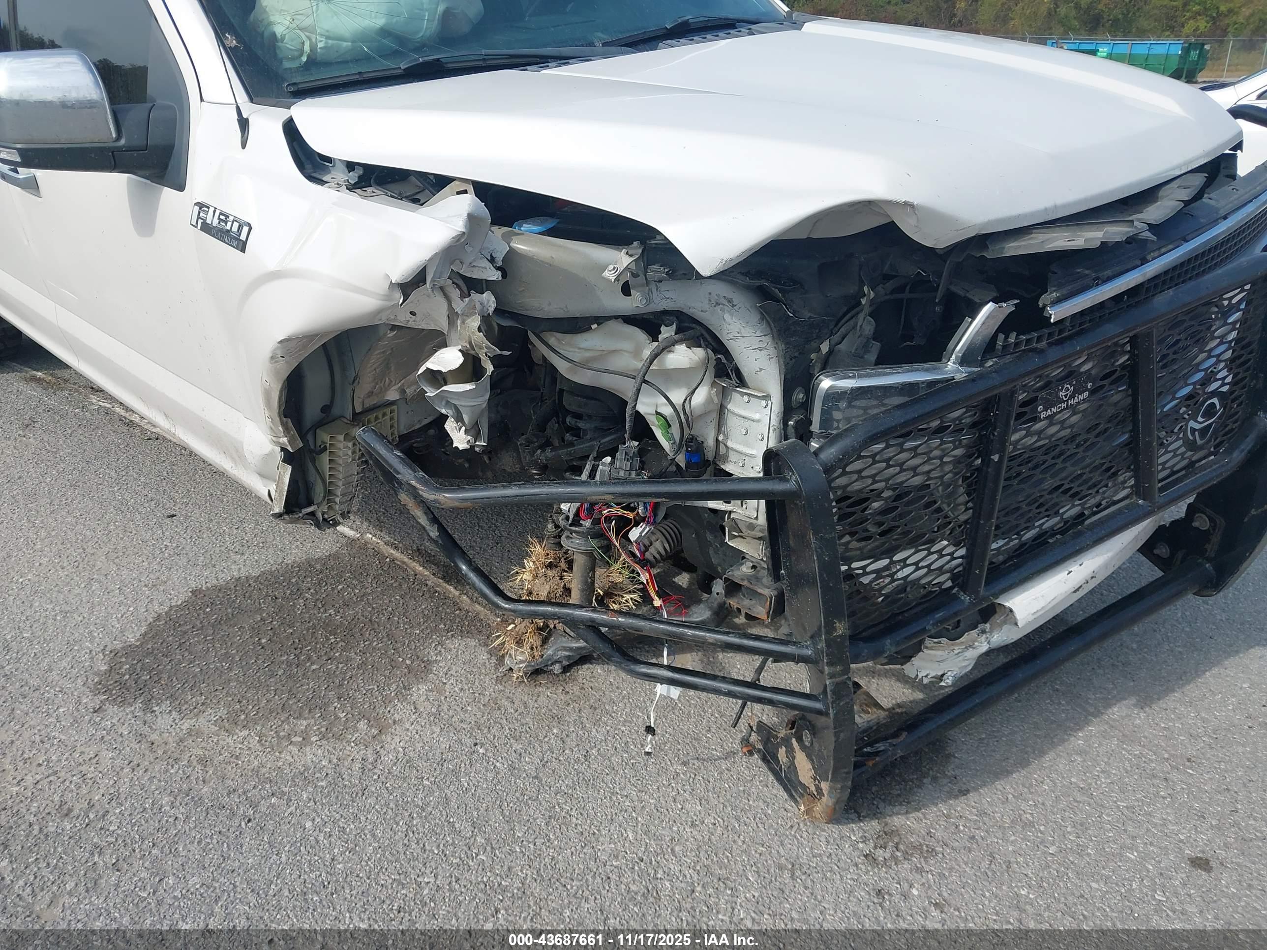 FORD F-150 image 6