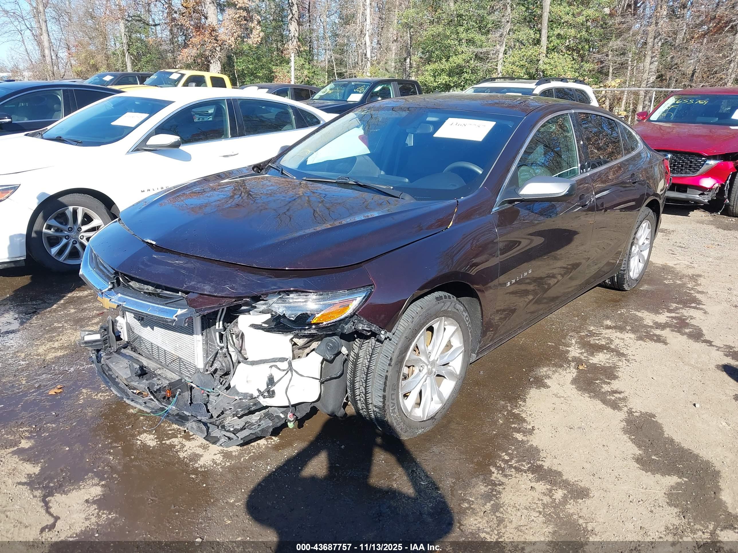 CHEVROLET MALIBU image 2