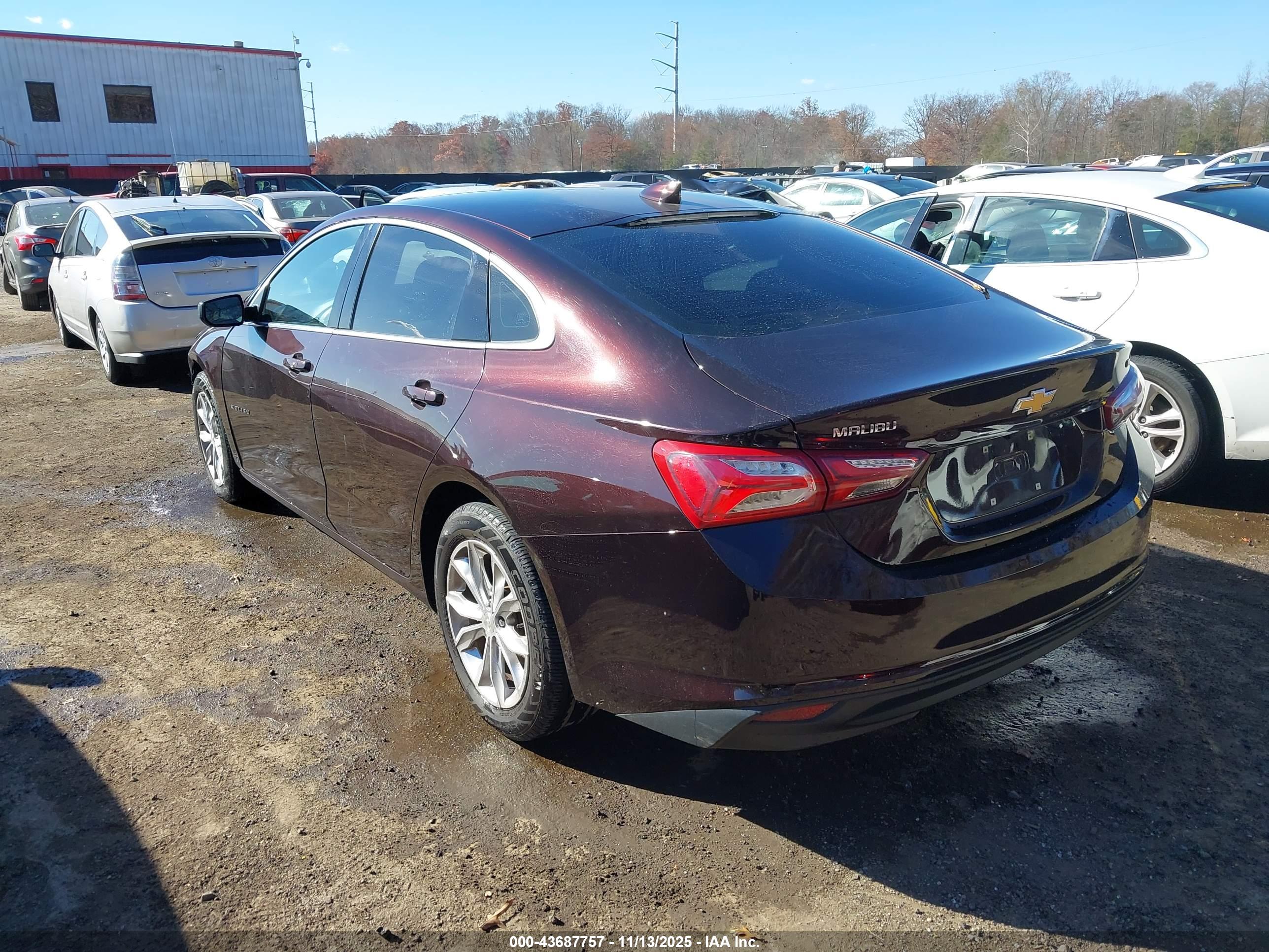 CHEVROLET MALIBU image 3