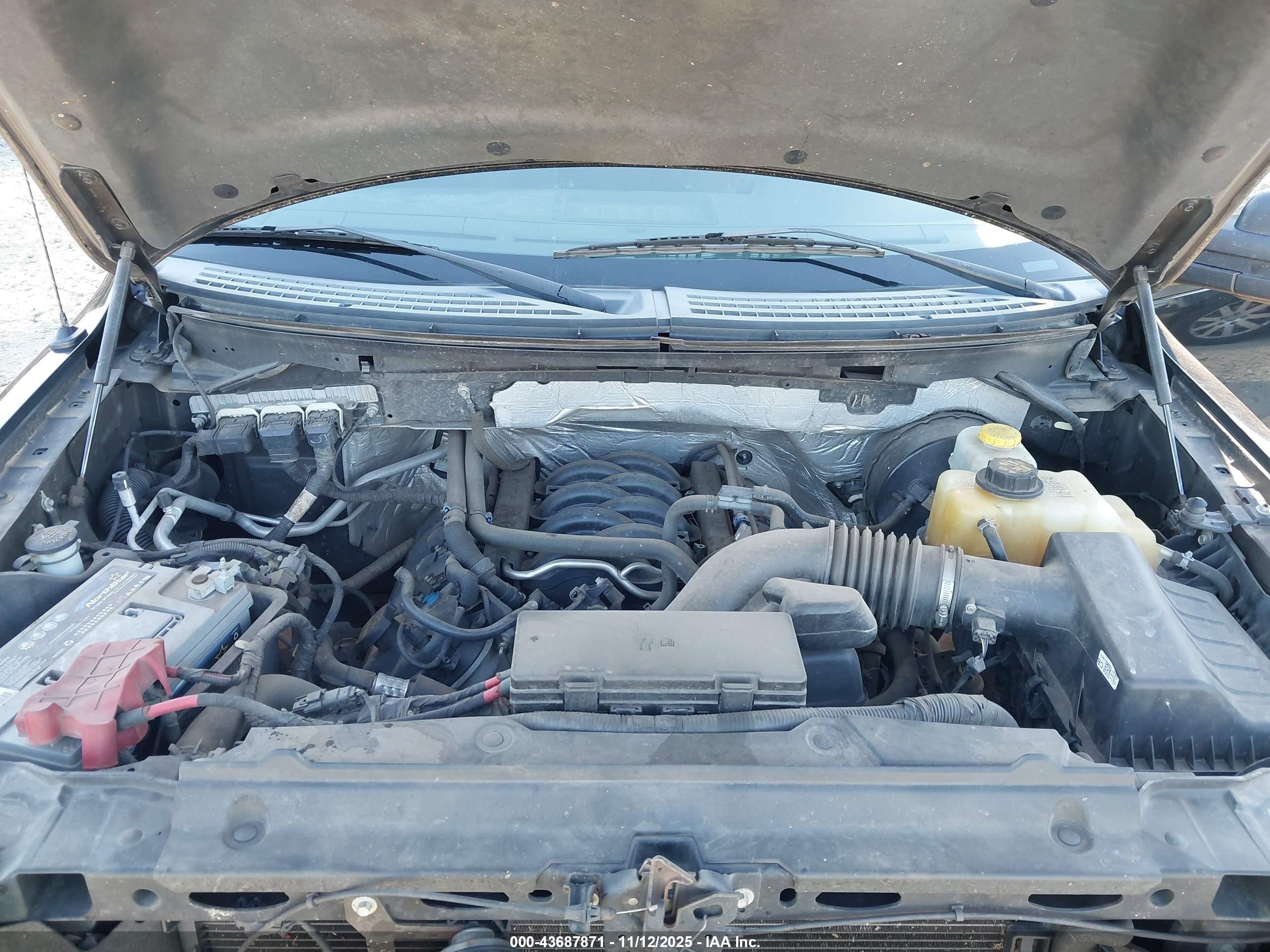 FORD F-150 image 10
