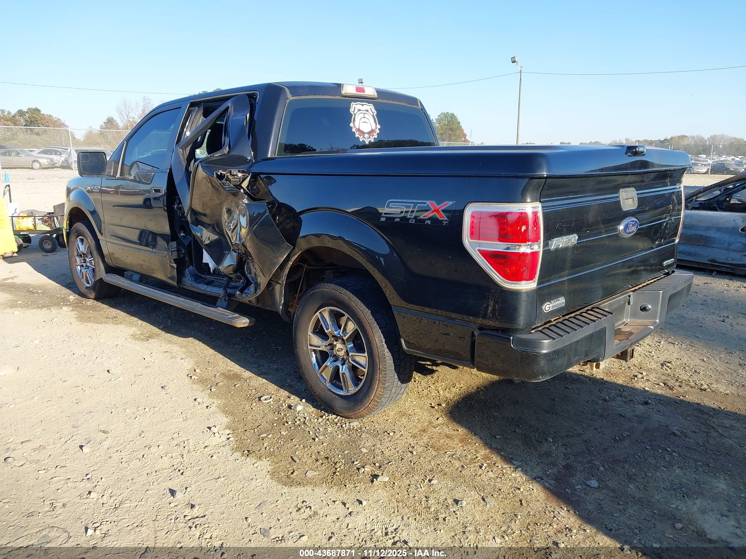 FORD F-150 image 3