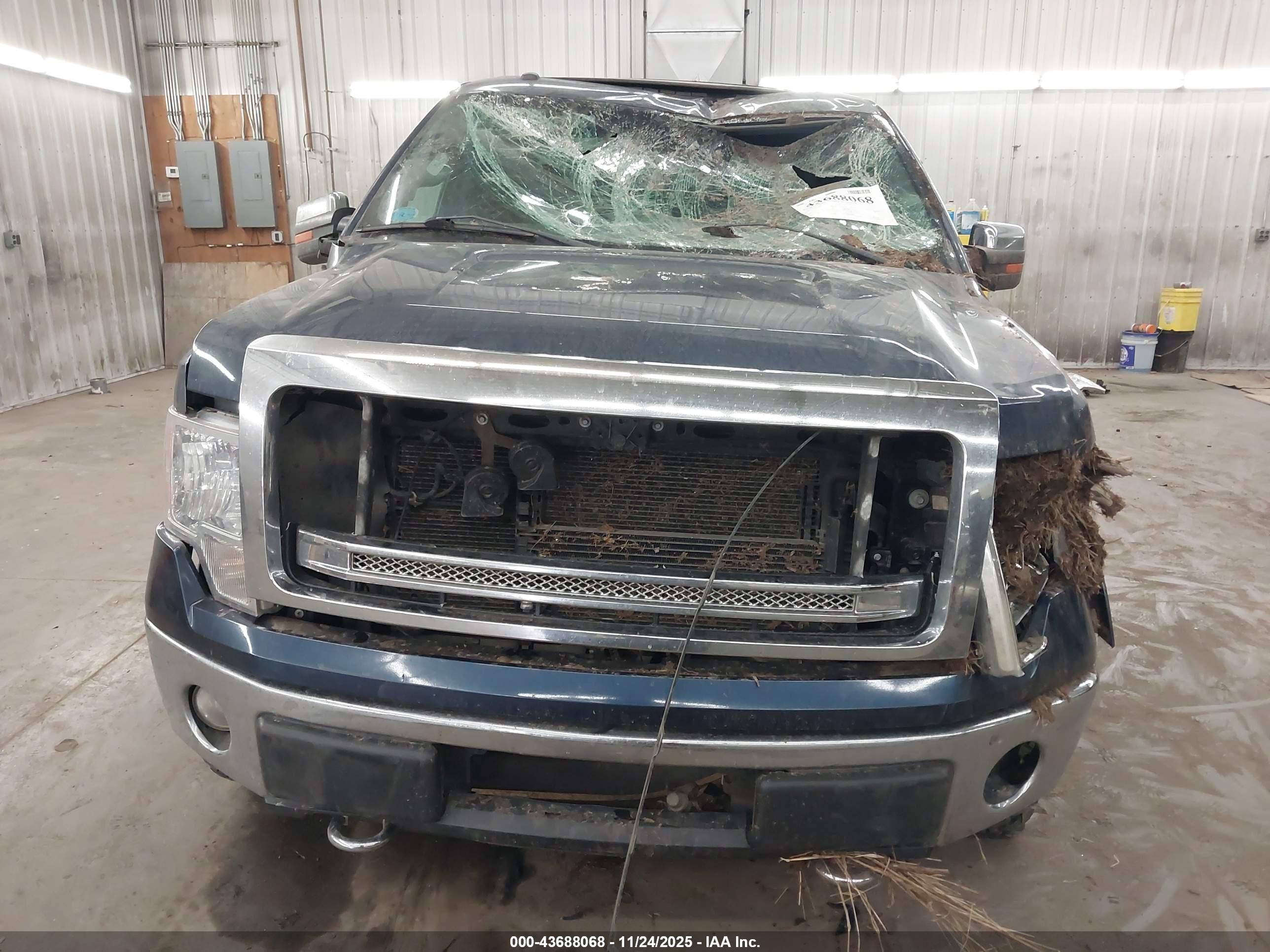 FORD F-150 image 6