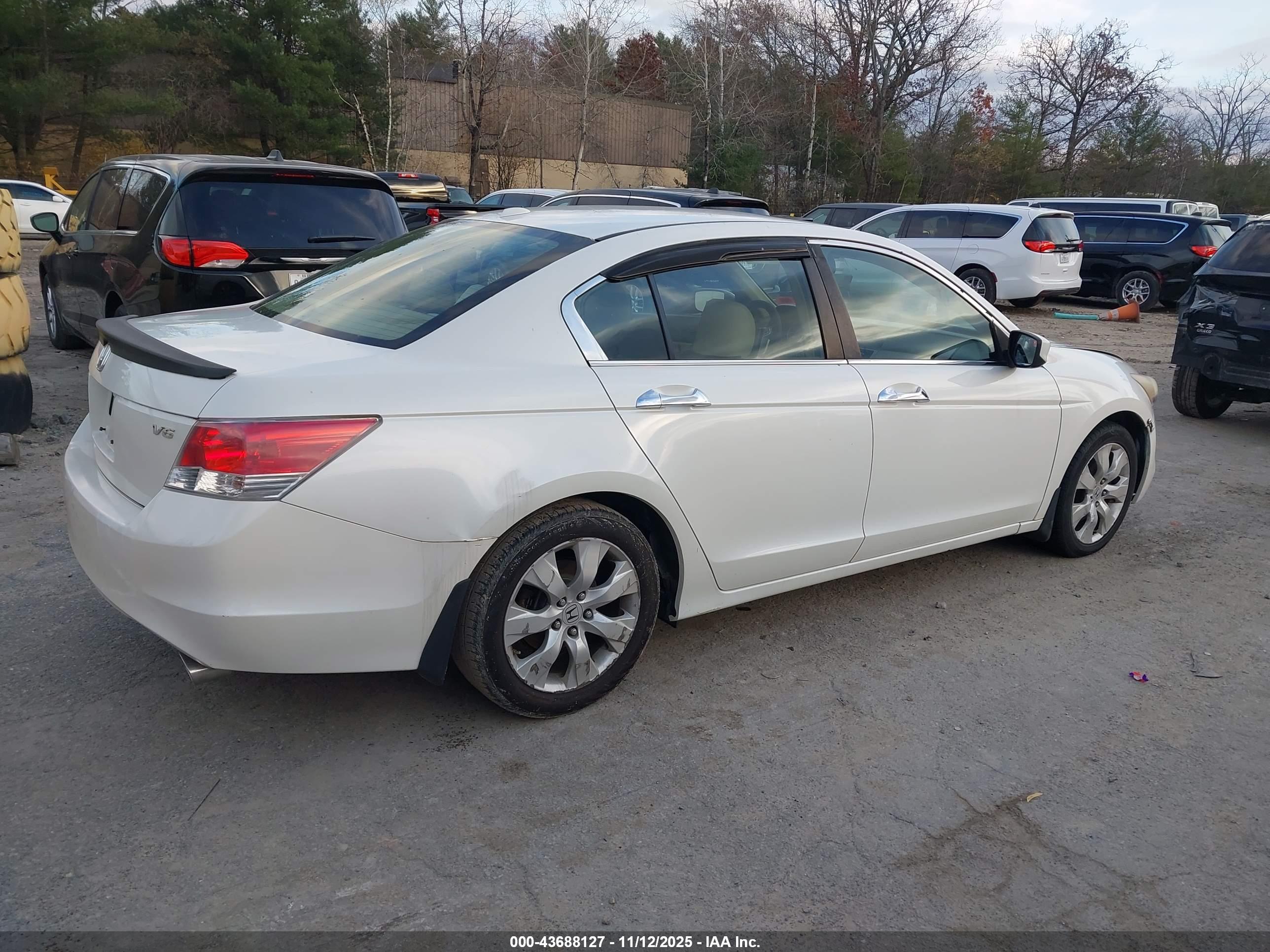 HONDA ACCORD image 4