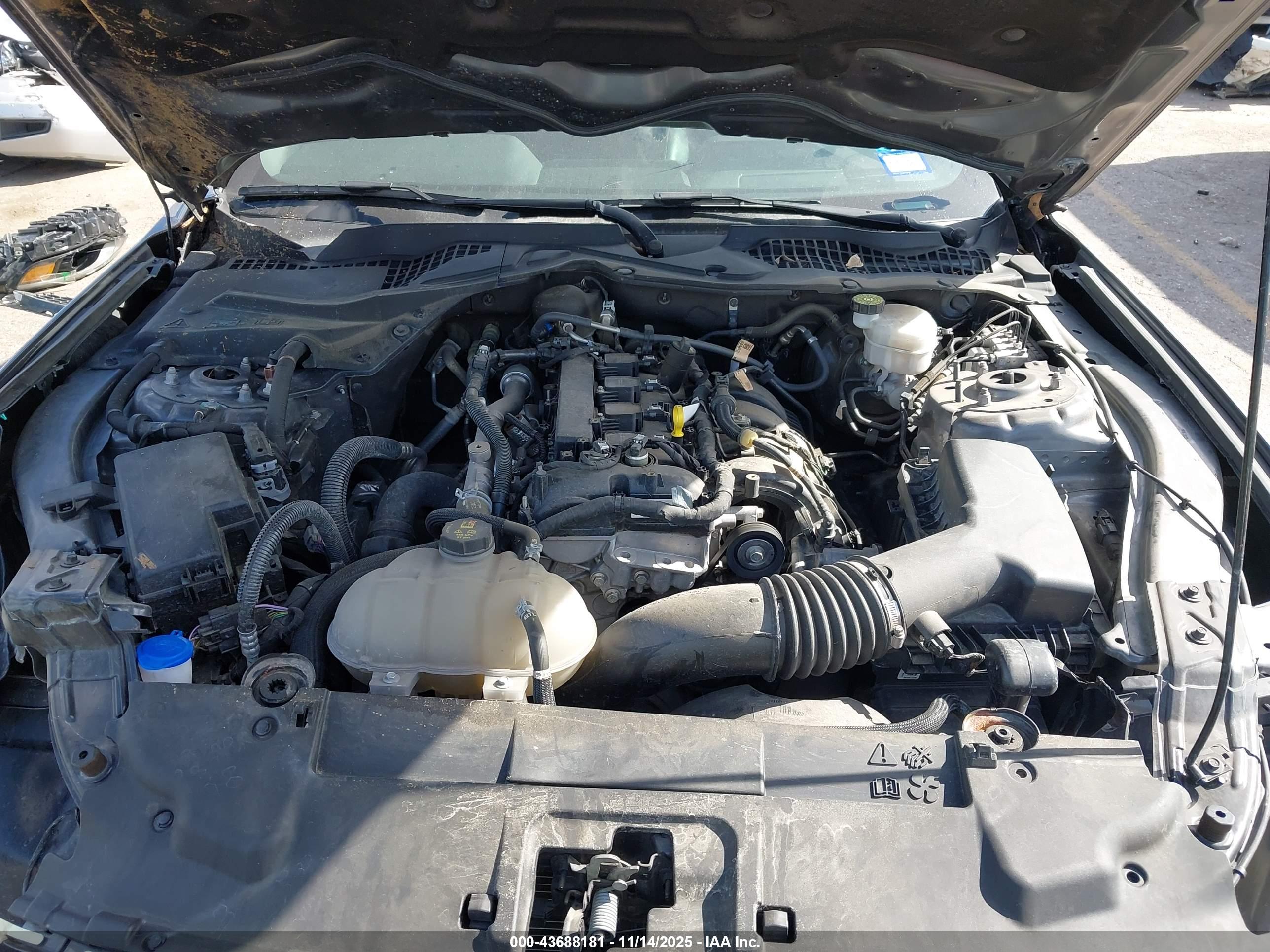 FORD MUSTANG image 10