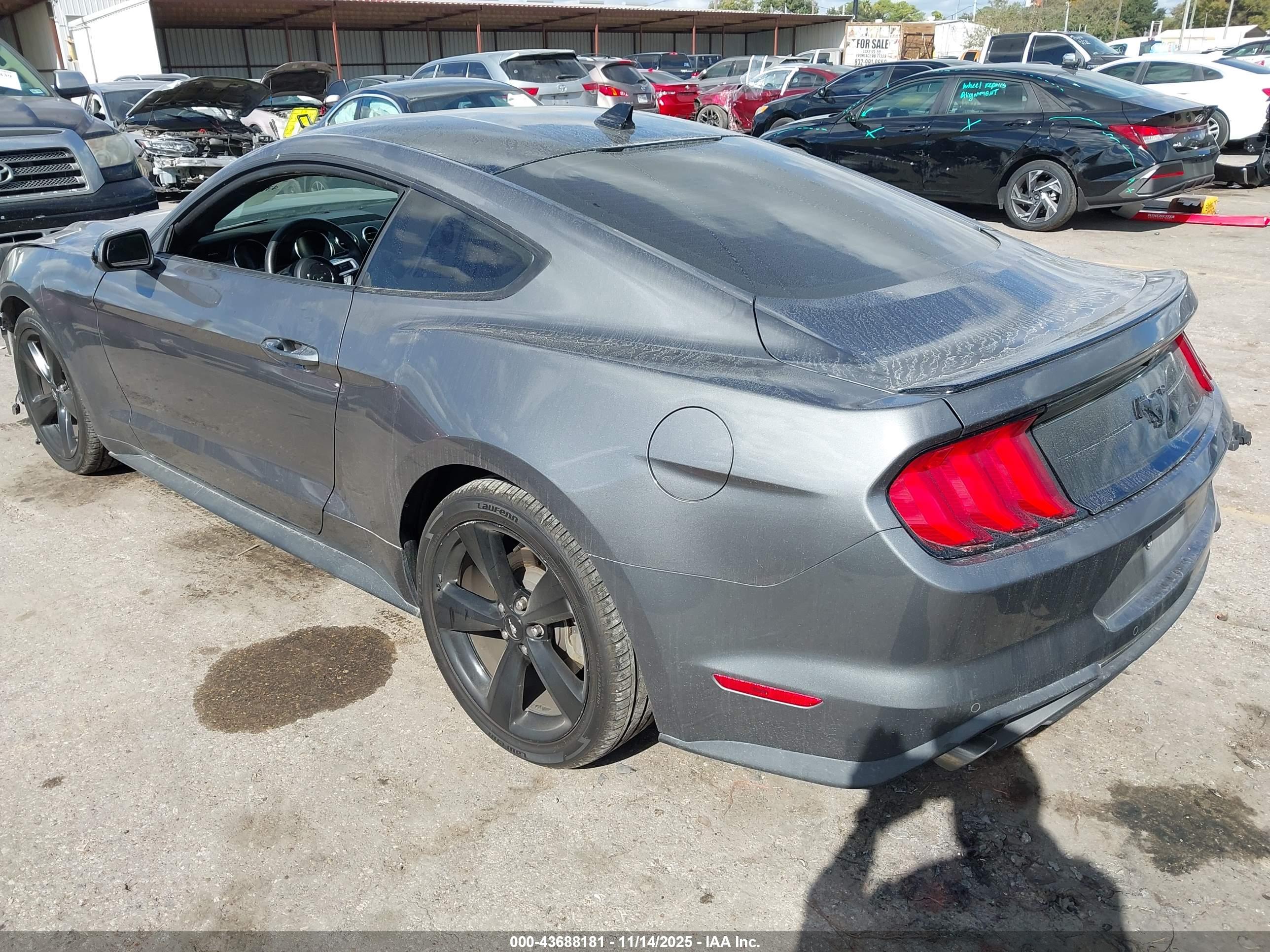 FORD MUSTANG image 3